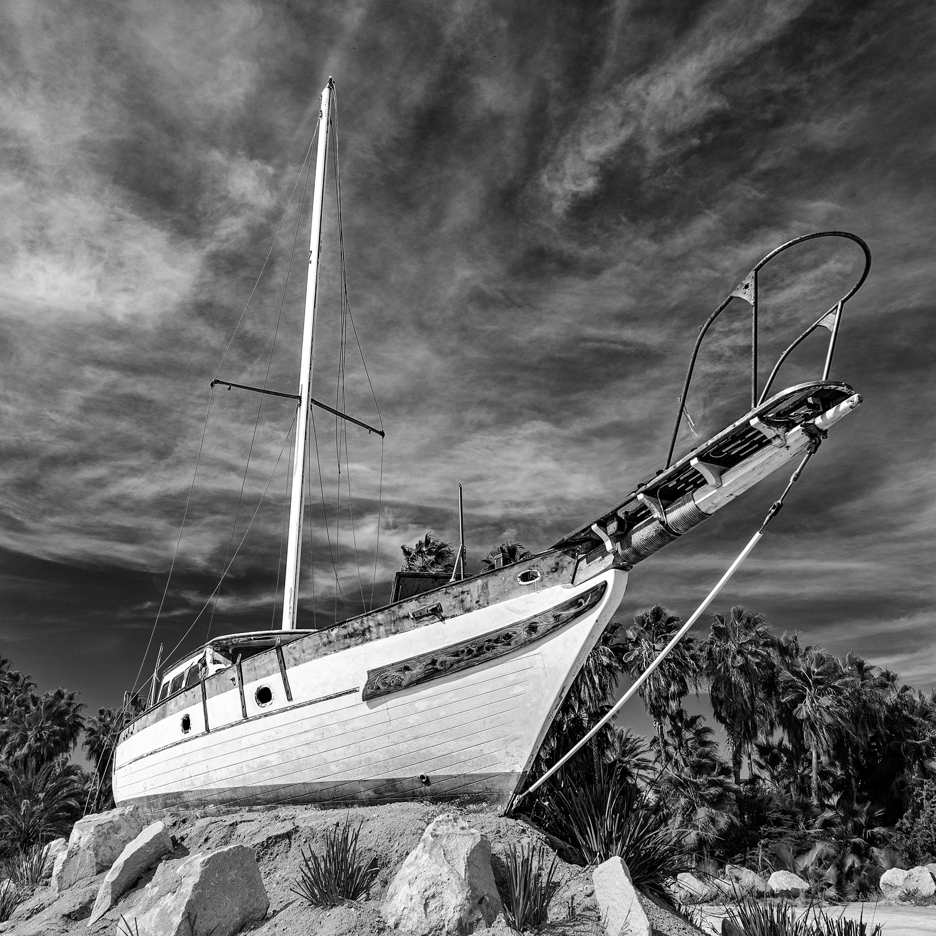 298/366 High and Dry