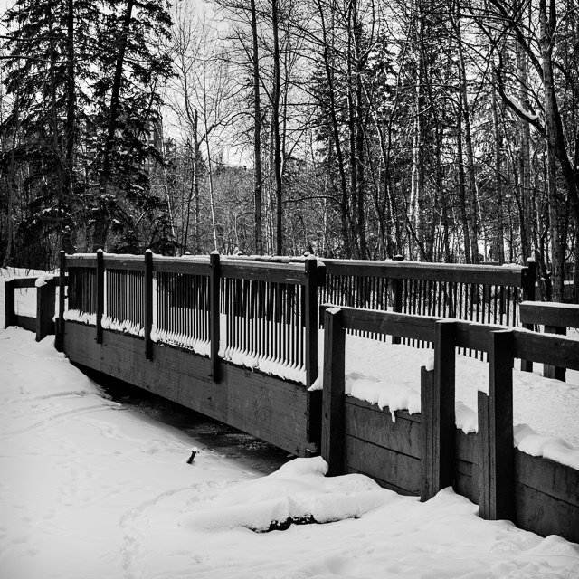 65/366 Like a Bridge Over Frozen Water