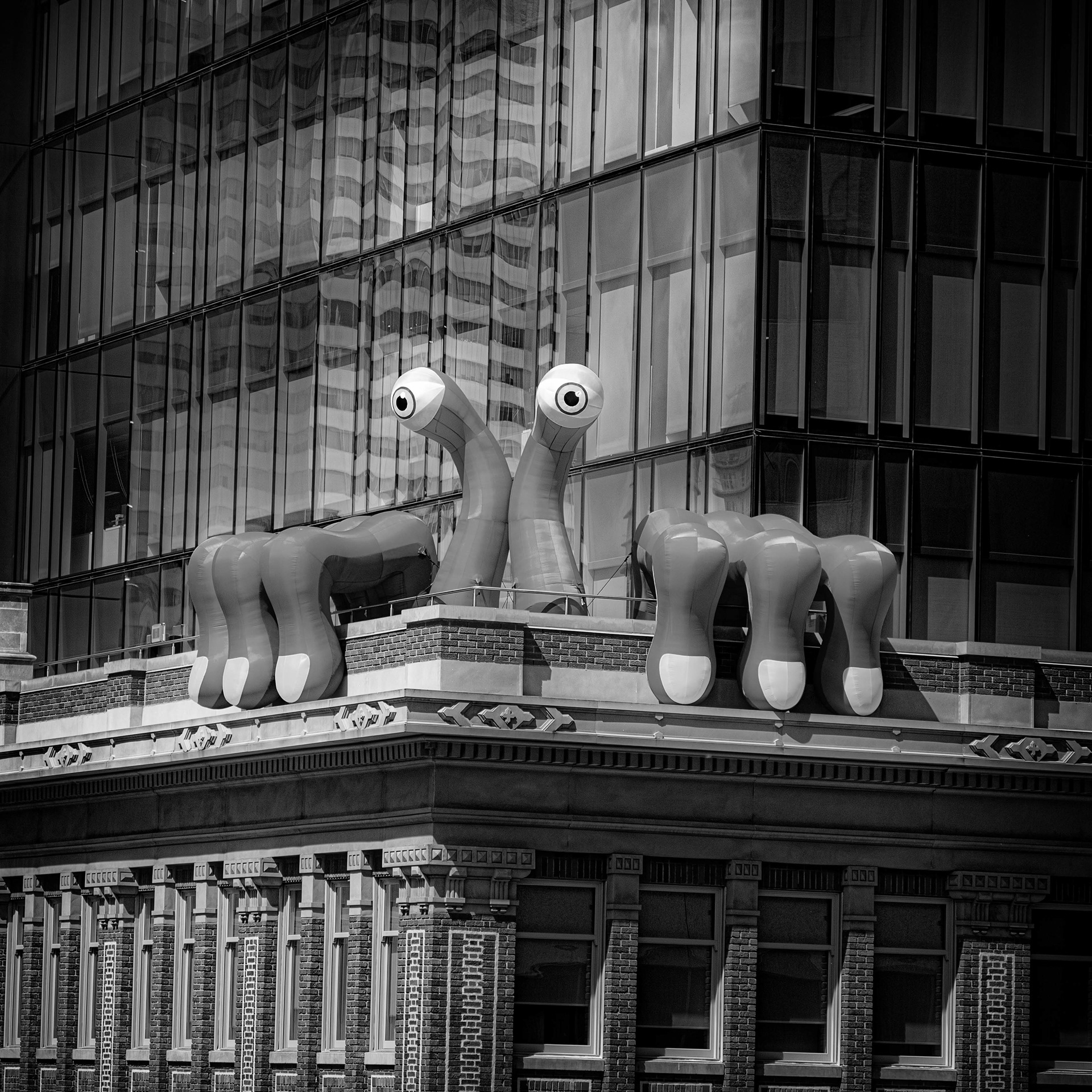 145/366 Here There Be Monsters