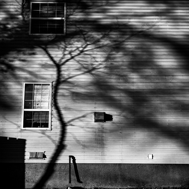 46/366 Allegory of the Cave