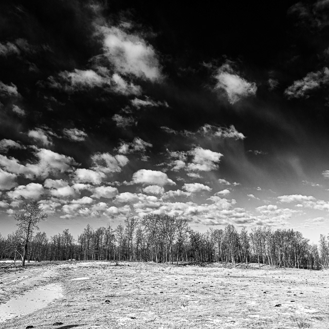 91/366 Where the Bison Roam