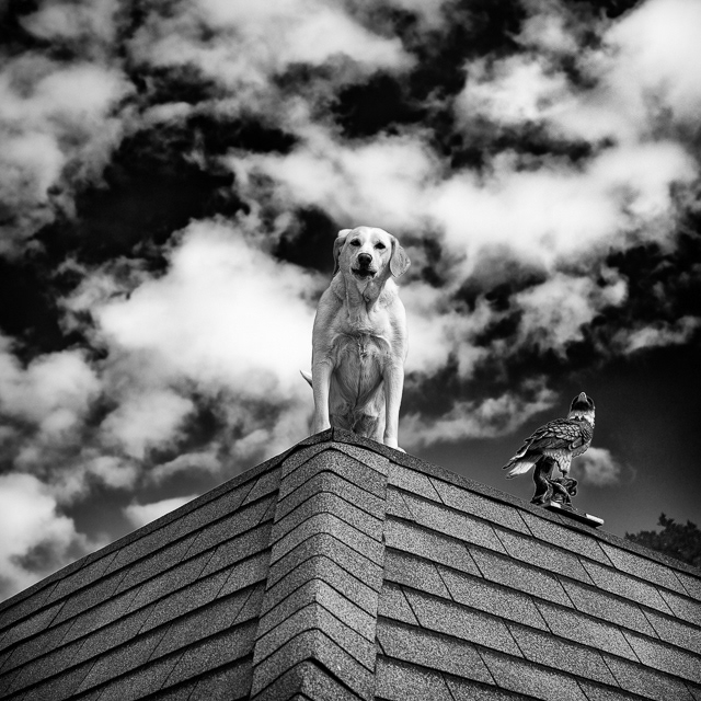 73/366 Holding Down the Fort