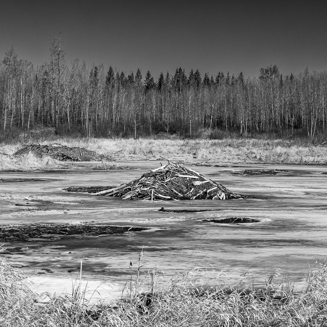 93/366 Canadian Engineering