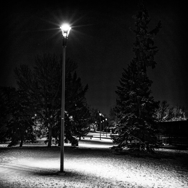 19/366 Les chiens dorment