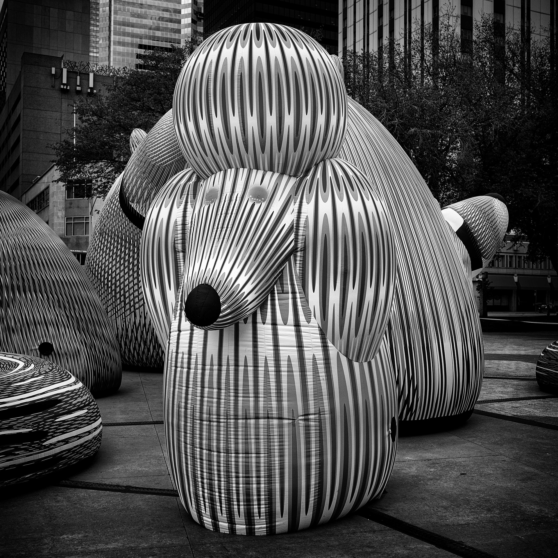 144/366 At The Lost Dog Disco