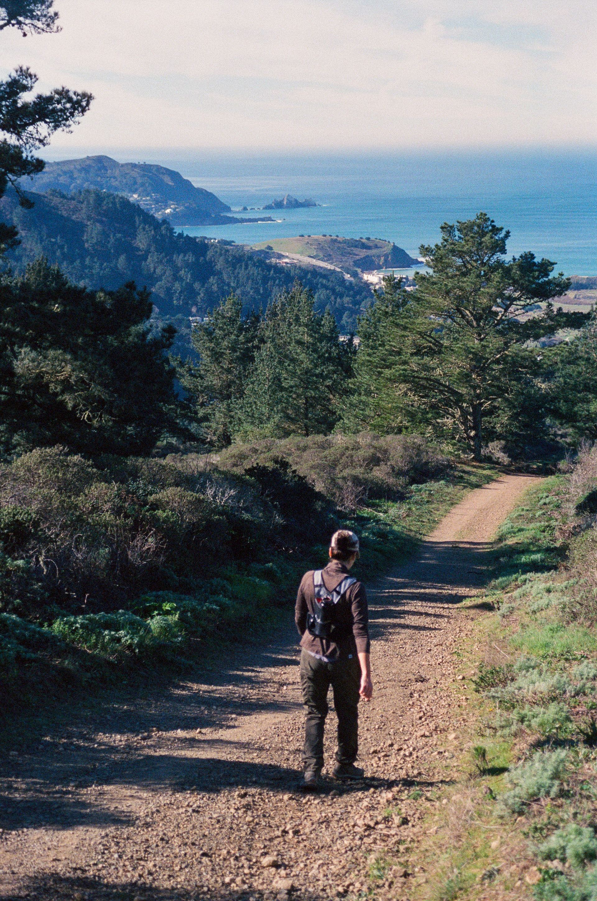 2026 Bay Area, Minolta A7, Cinestill 800T