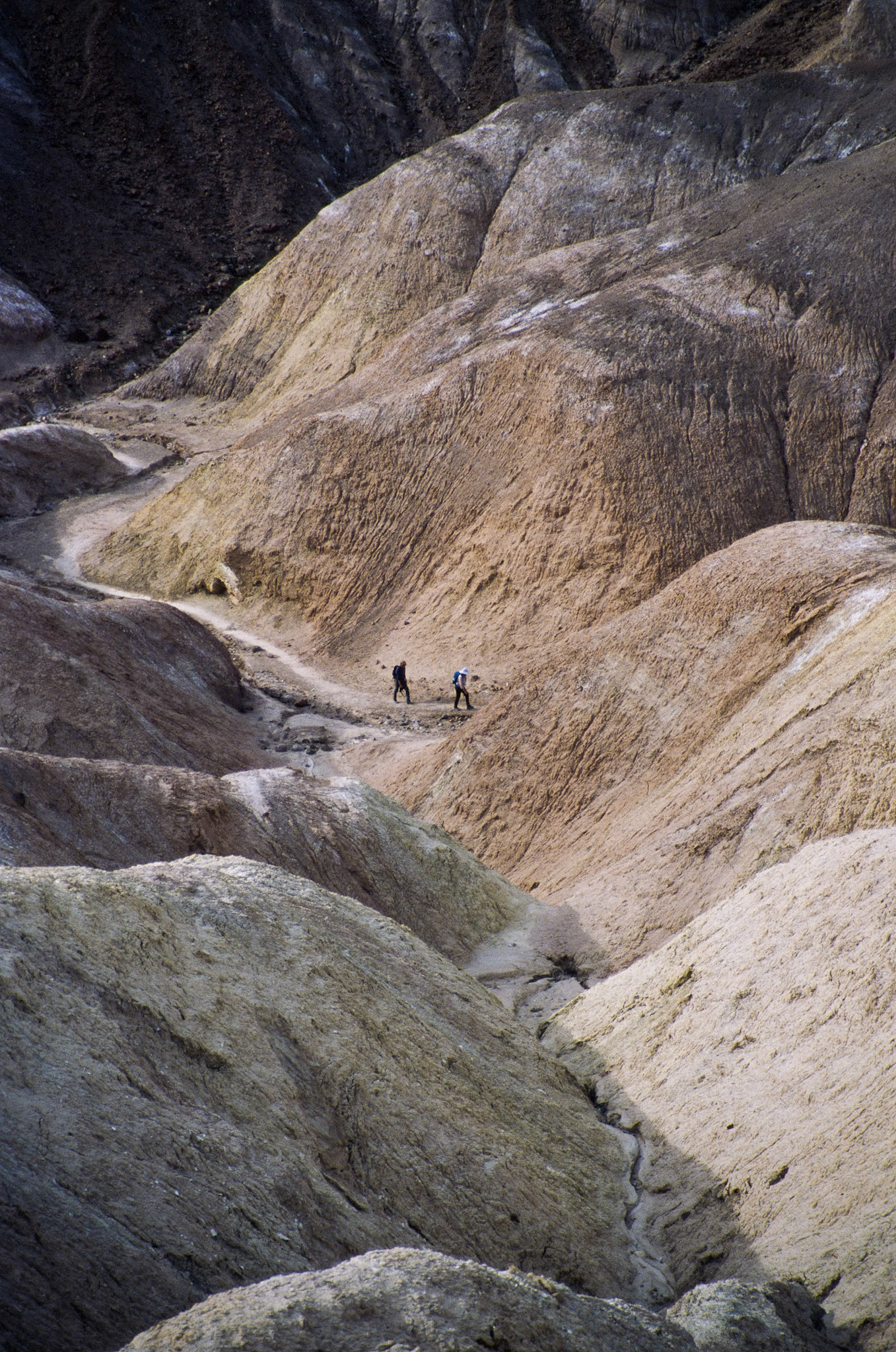 2024 - Minolta A7, Kodak Ektachrome E100 (slide film)