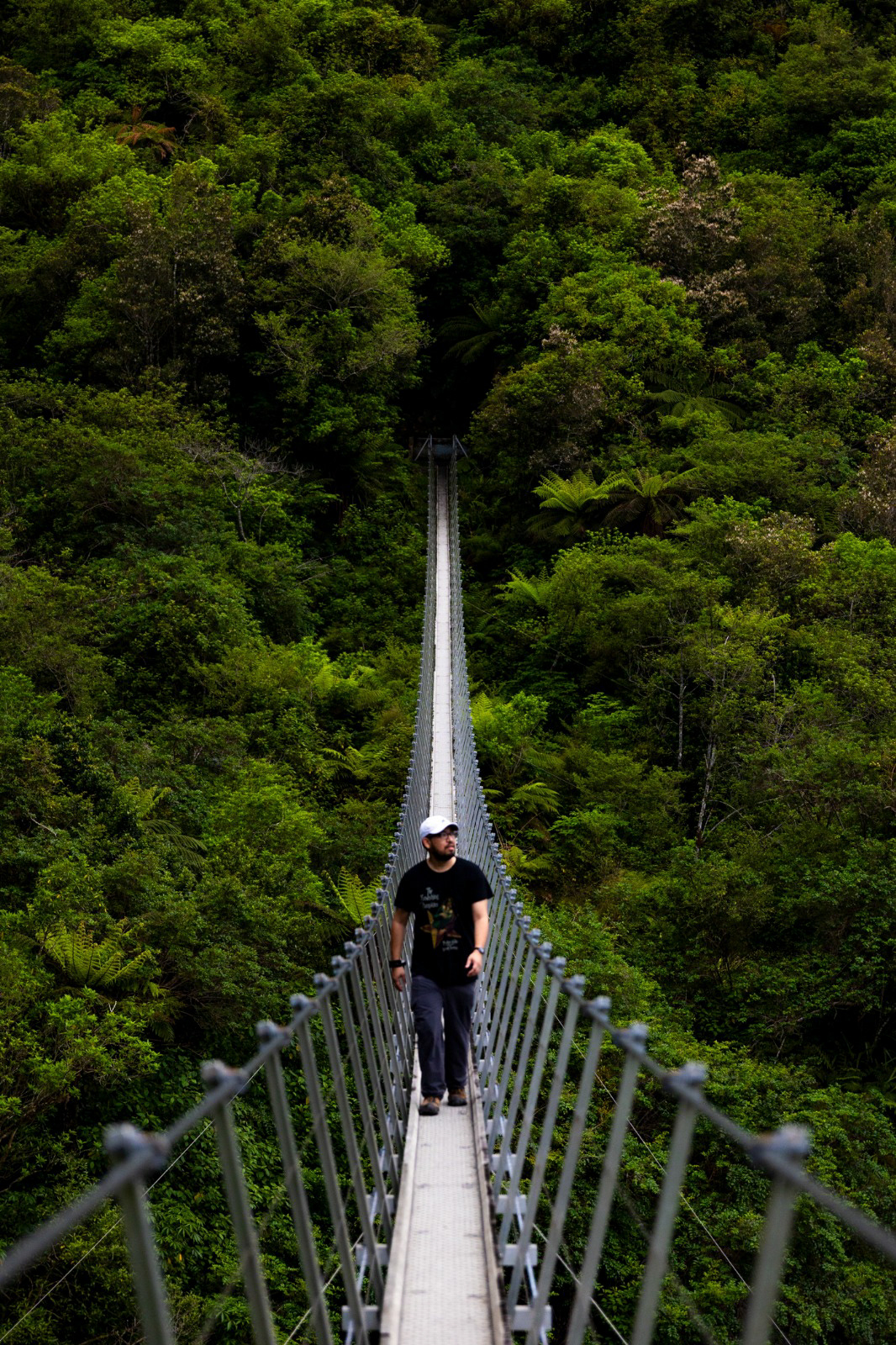 Photo by Brendan Van Son