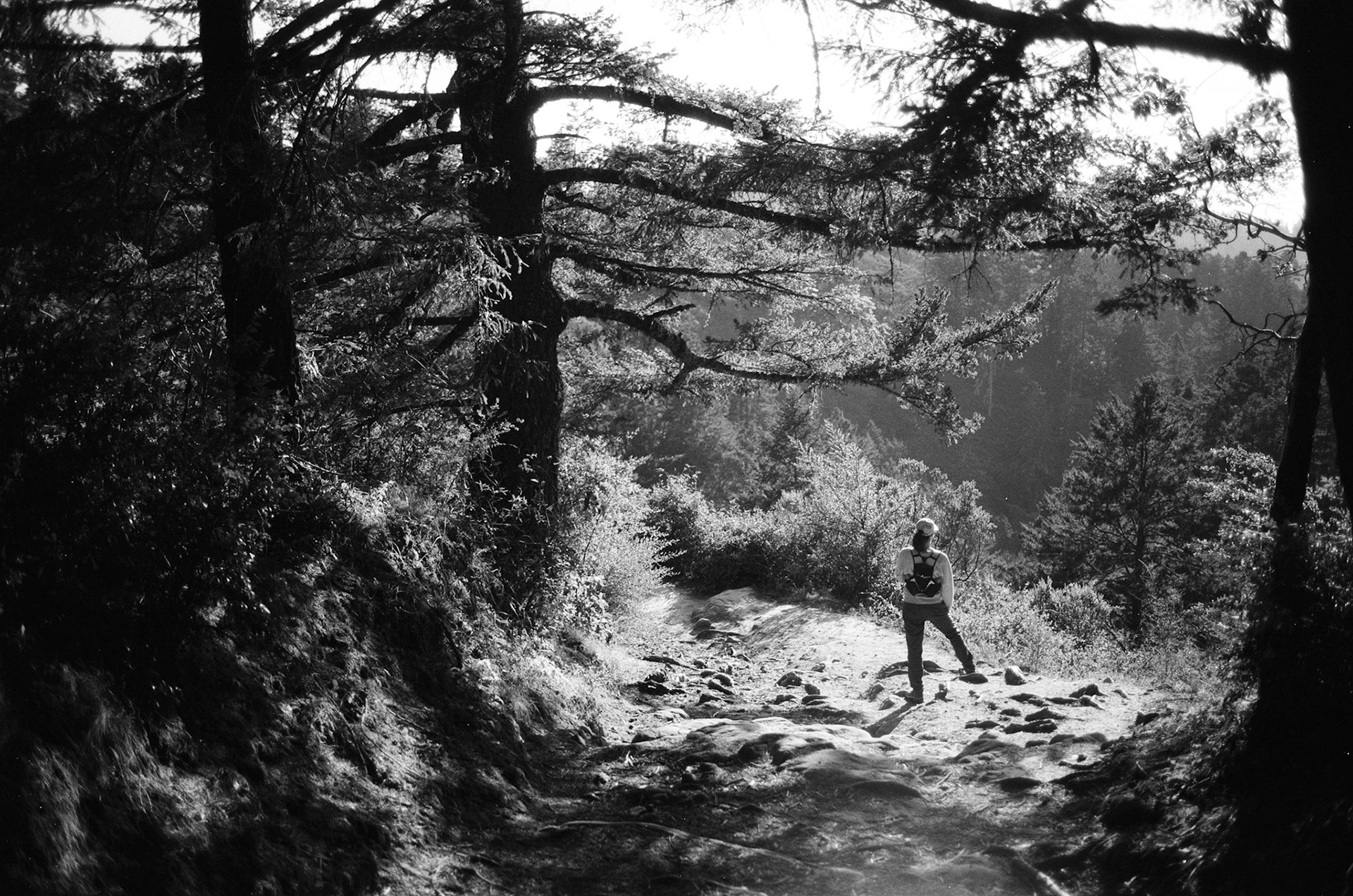 2022 - Minolta 7000, 2022 Ilford KP4 Plus