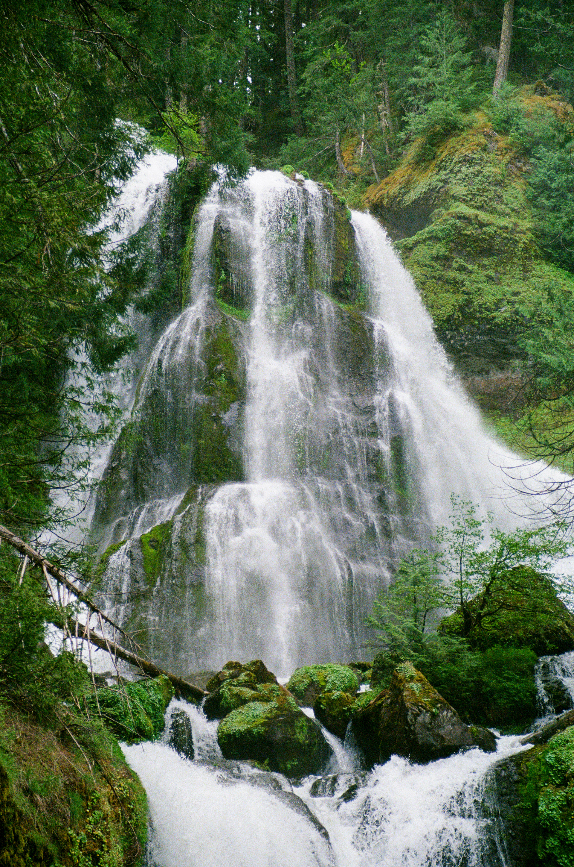 2025 Oregon - Minolta A7, Ultramax 400