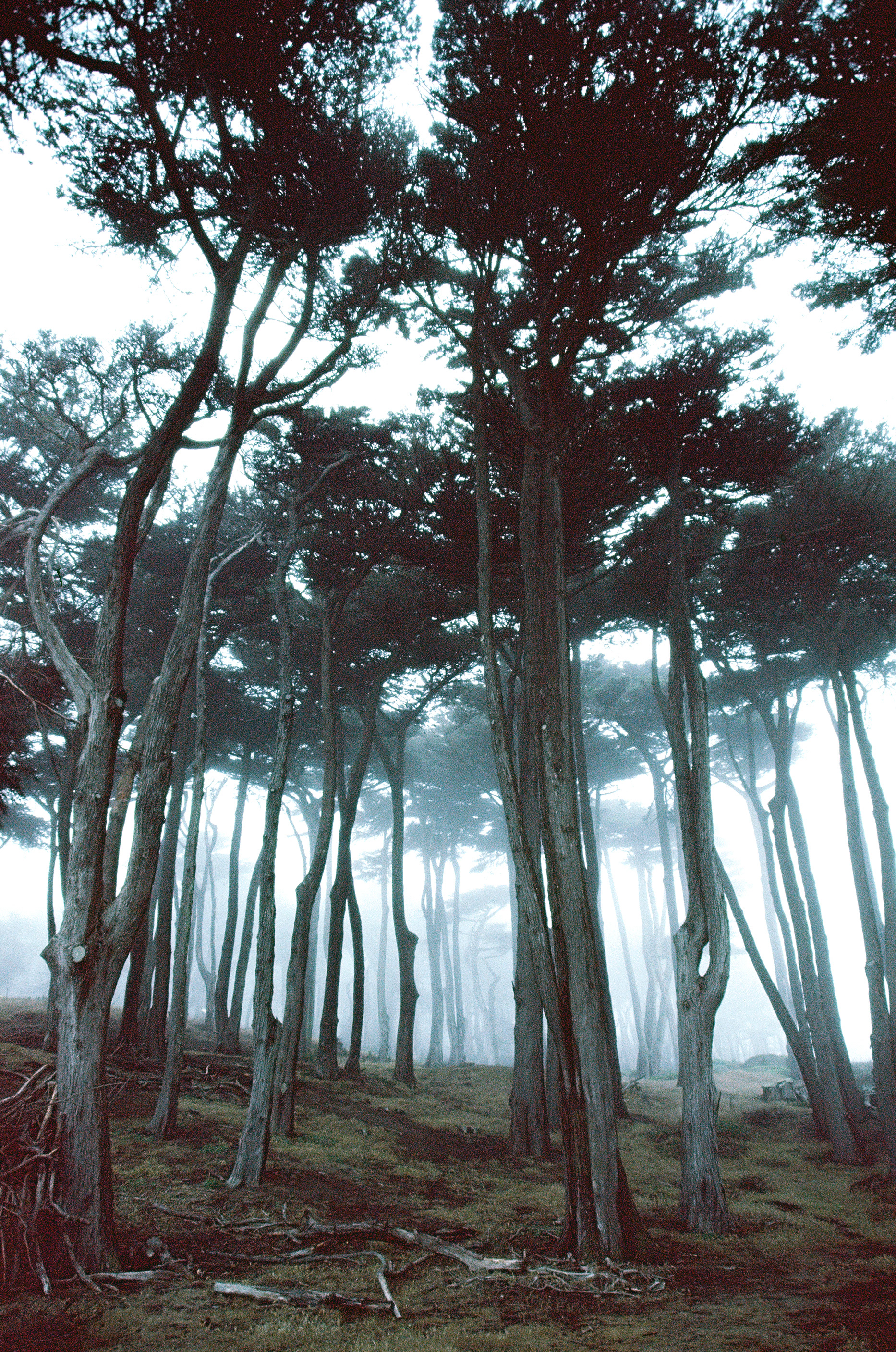 2022 - Minolta 7000, 2005 Expired Elite Chrome 200 - Land's End