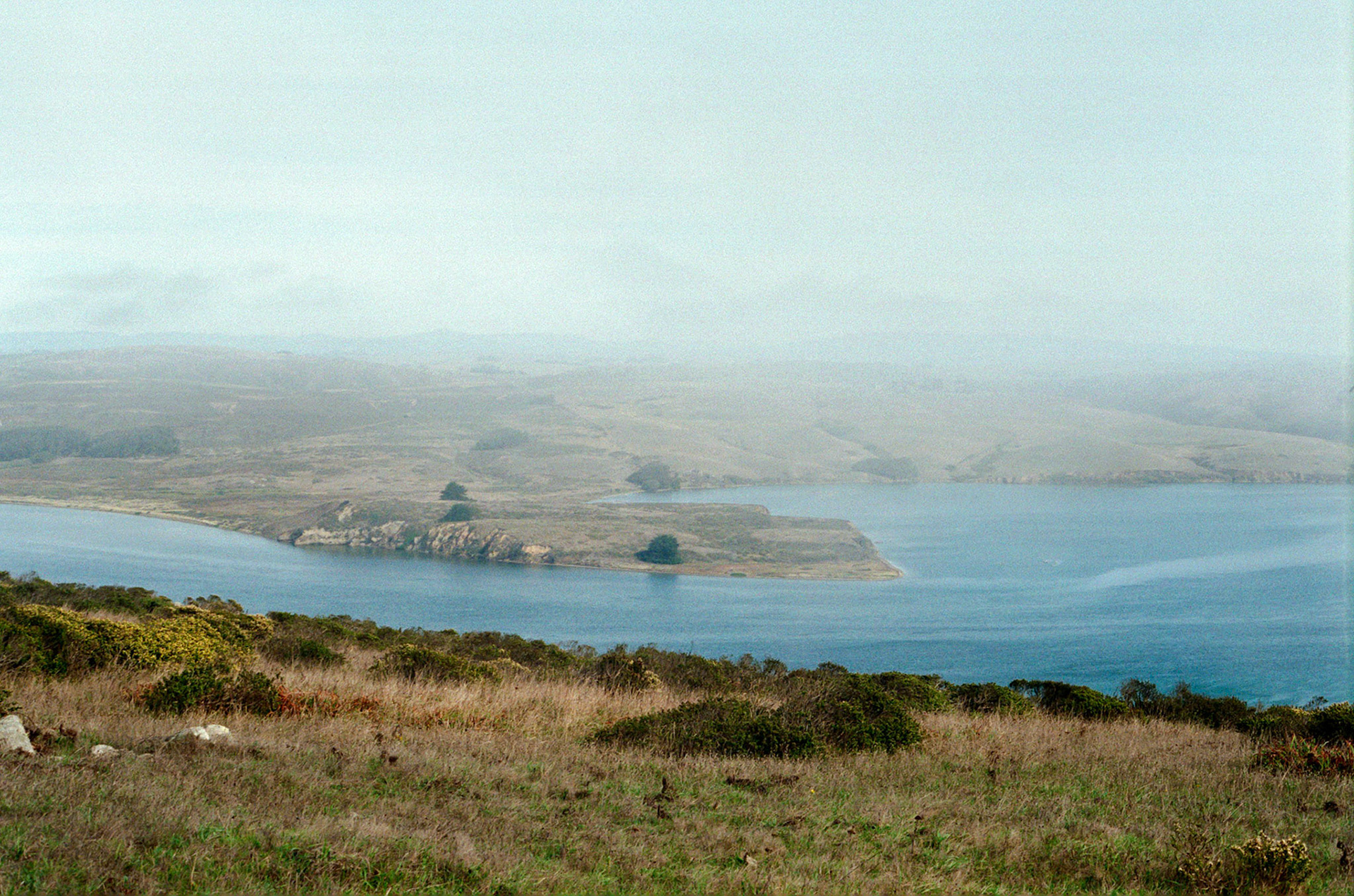 2018 - Canon A1, Fuji Superia 400, Point Reyes