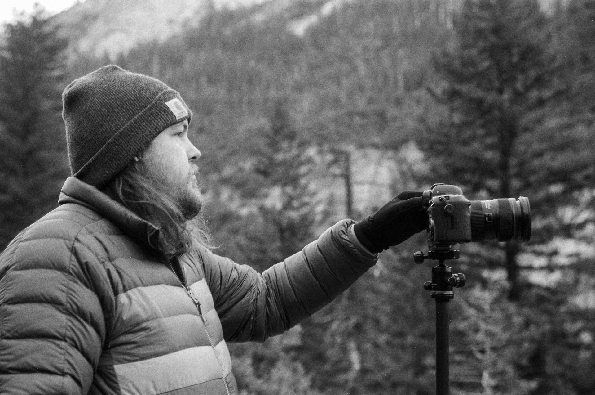 2023 - Minolta A7, Ilford KP4 Plus - Yosemite