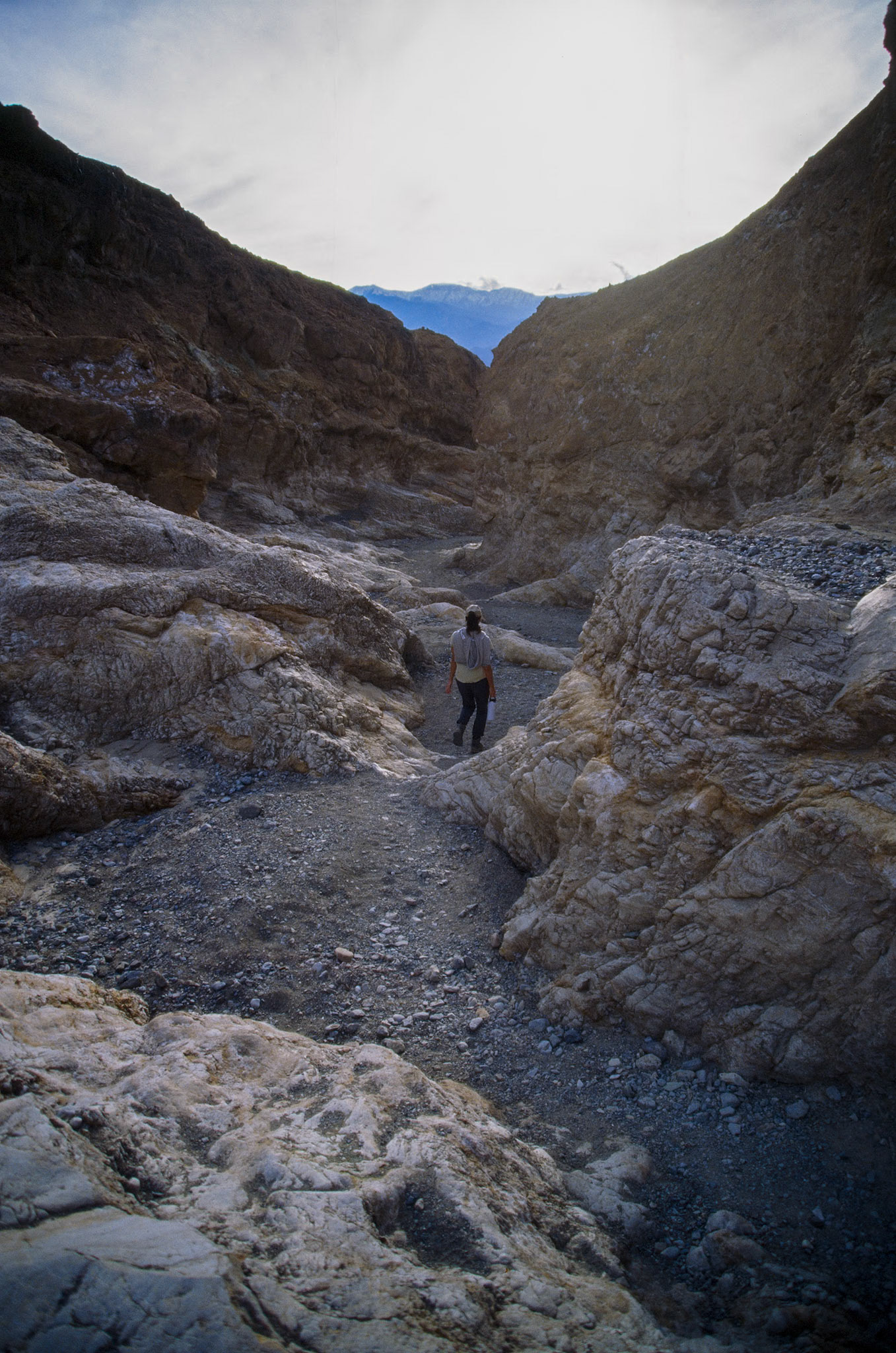 2024 - Minolta A7, Kodak Ektachrome E100 (slide film)