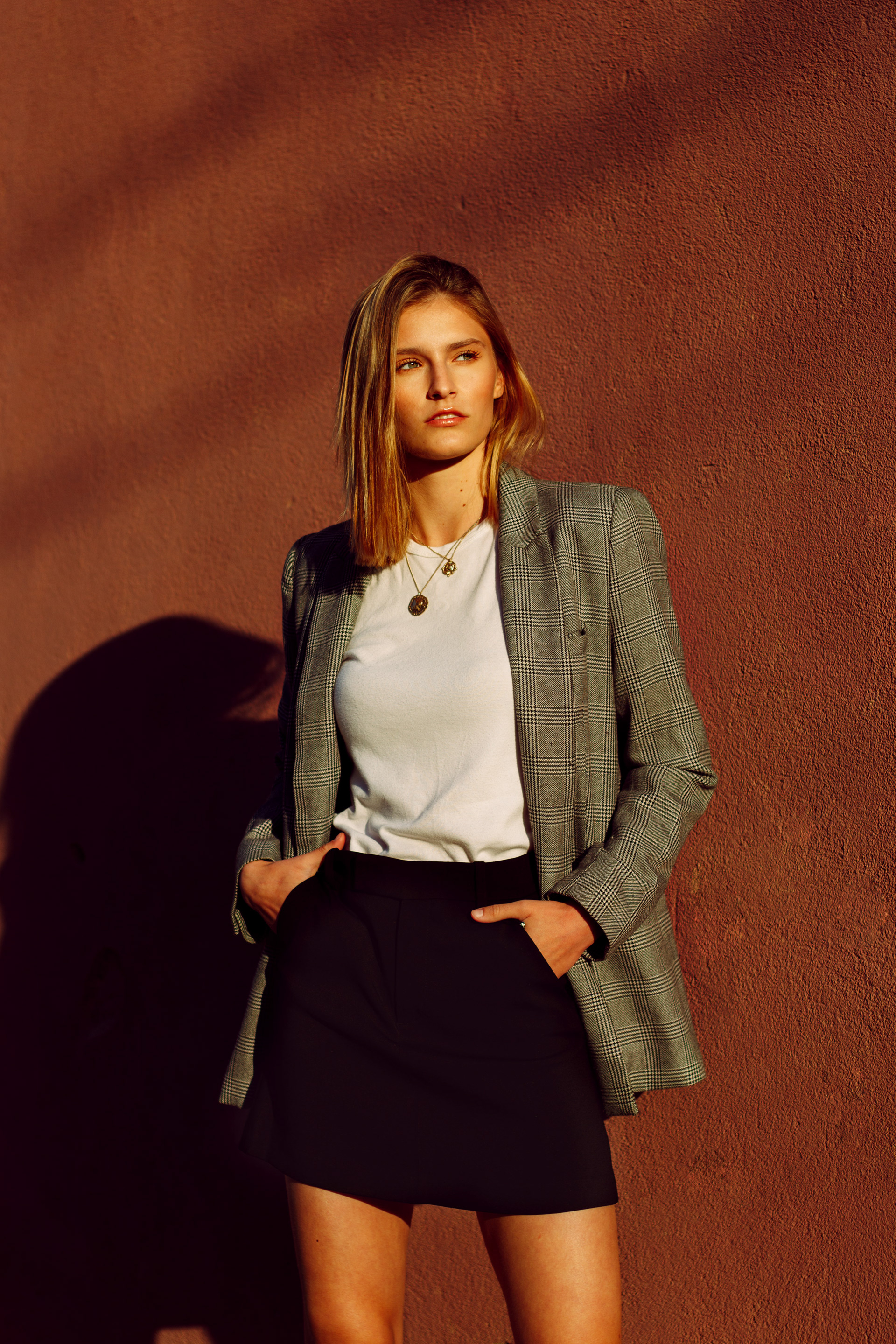 Dasha from Trend Models