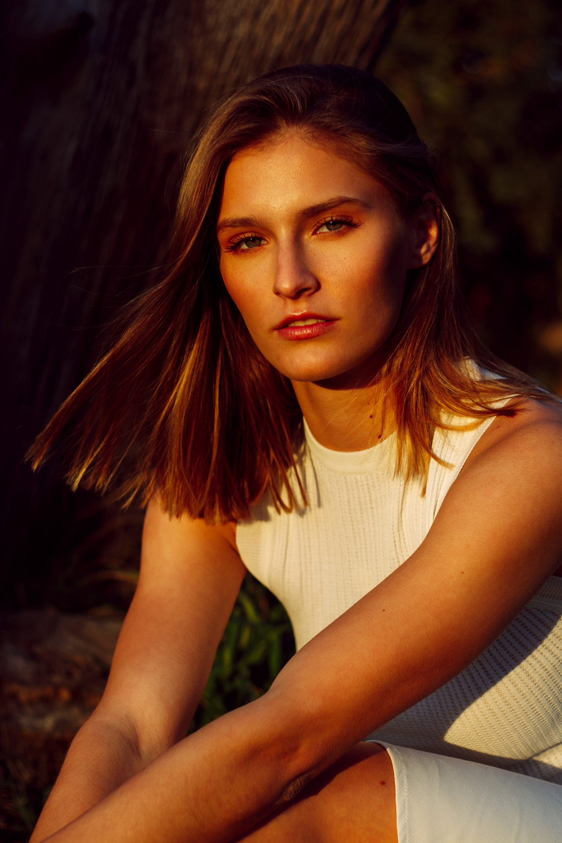 Dasha from Trend Models