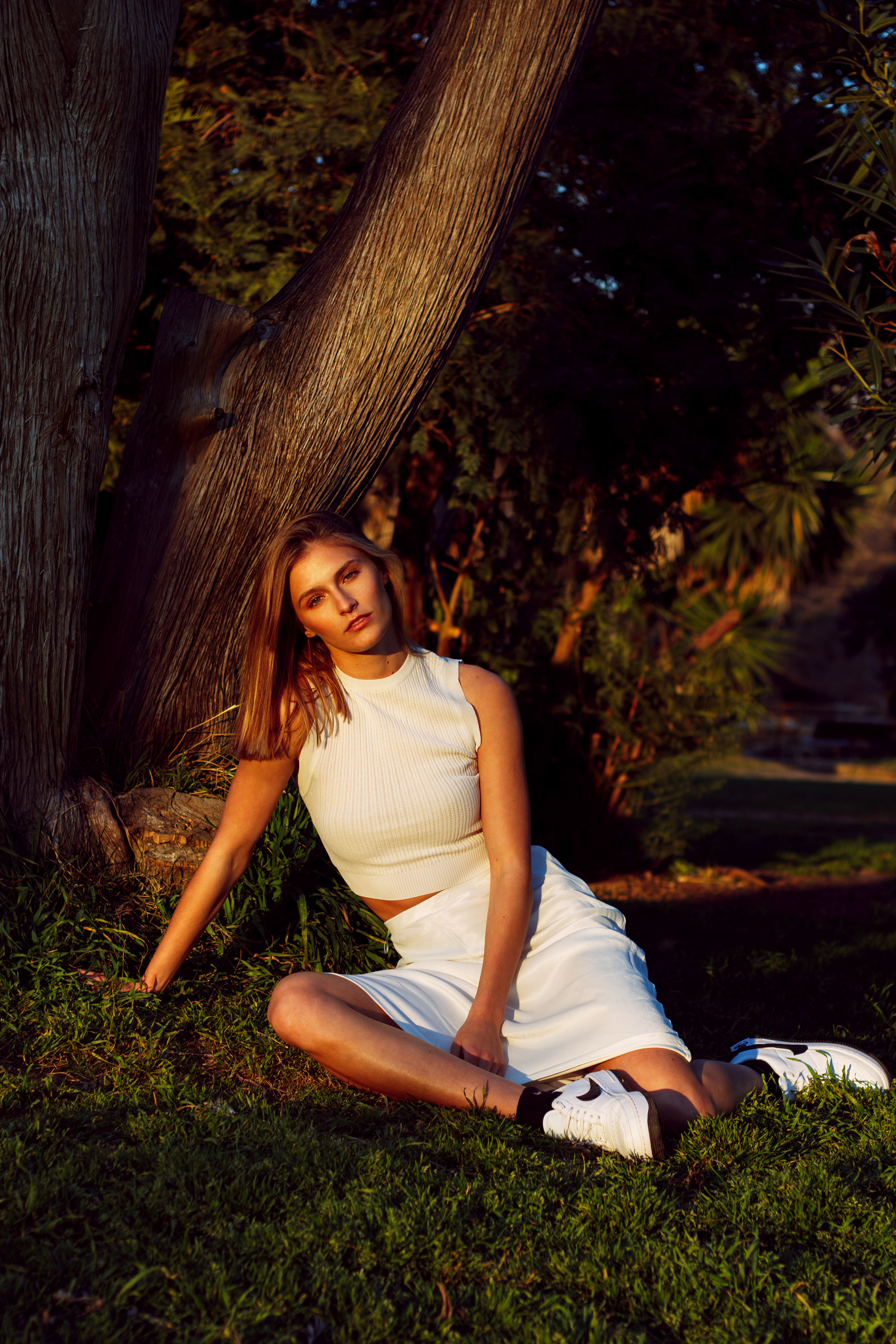 Dasha from Trend Models