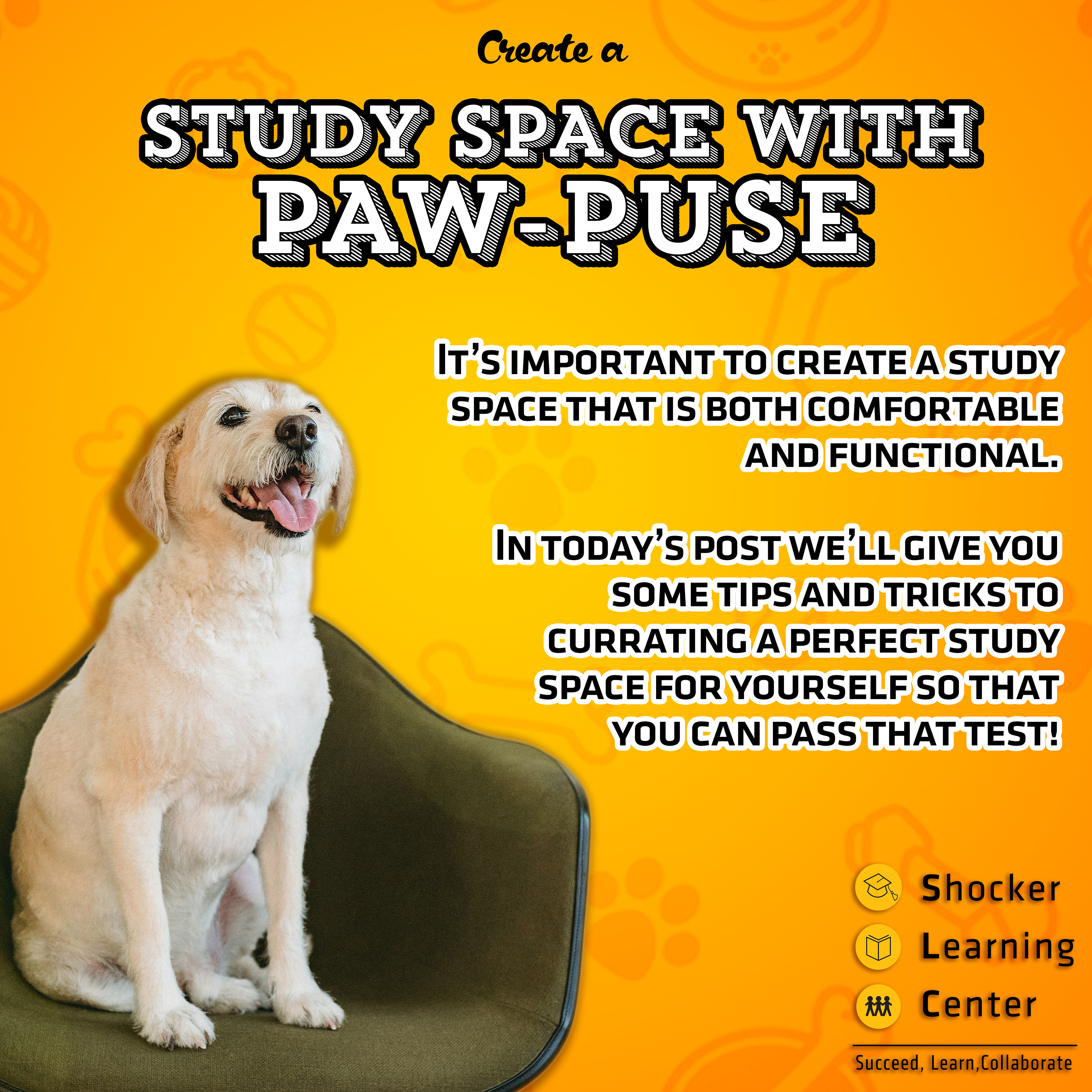 Finals Post for the SLC