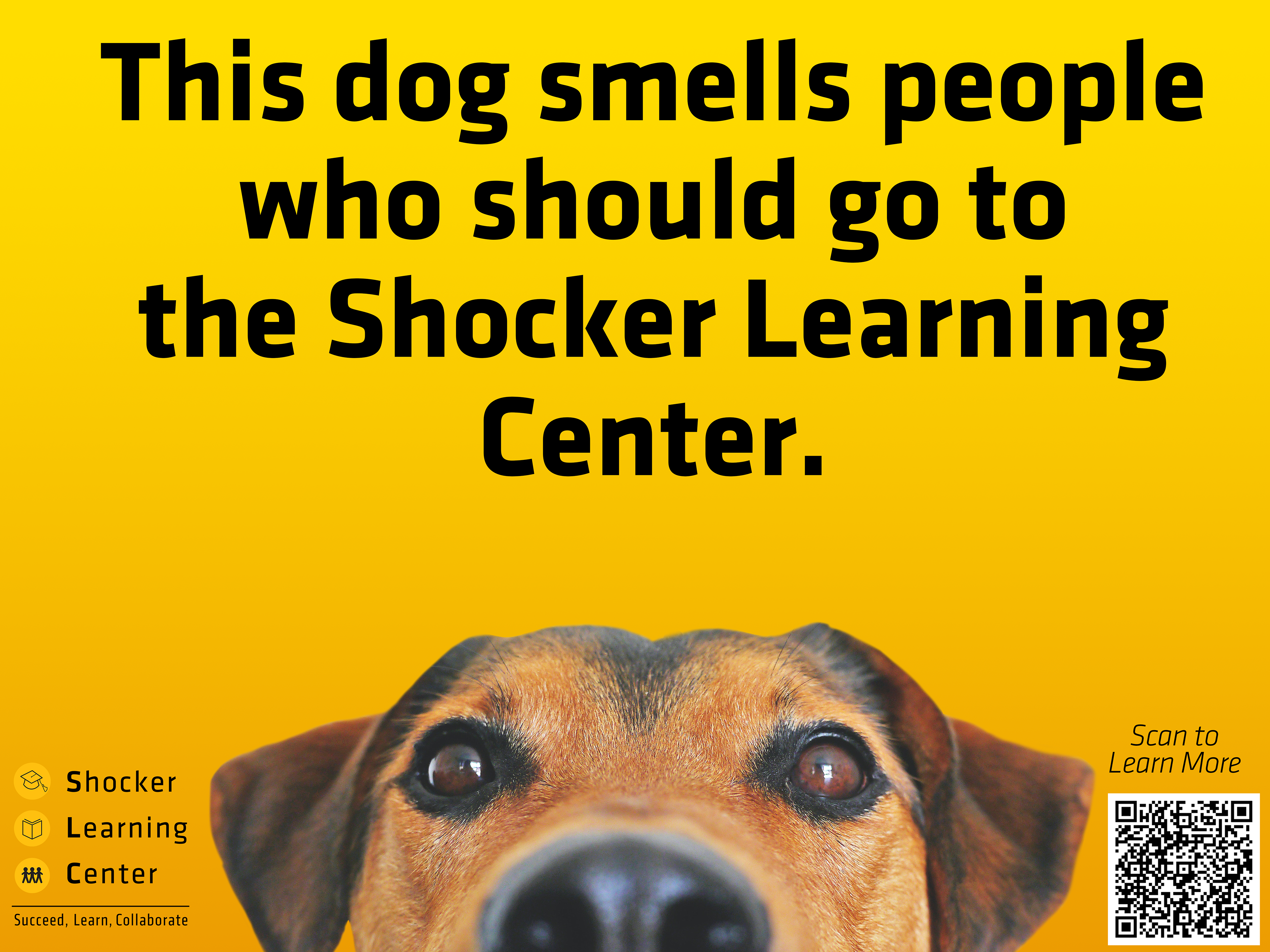 A Series of Signs we printed promoting the SLC