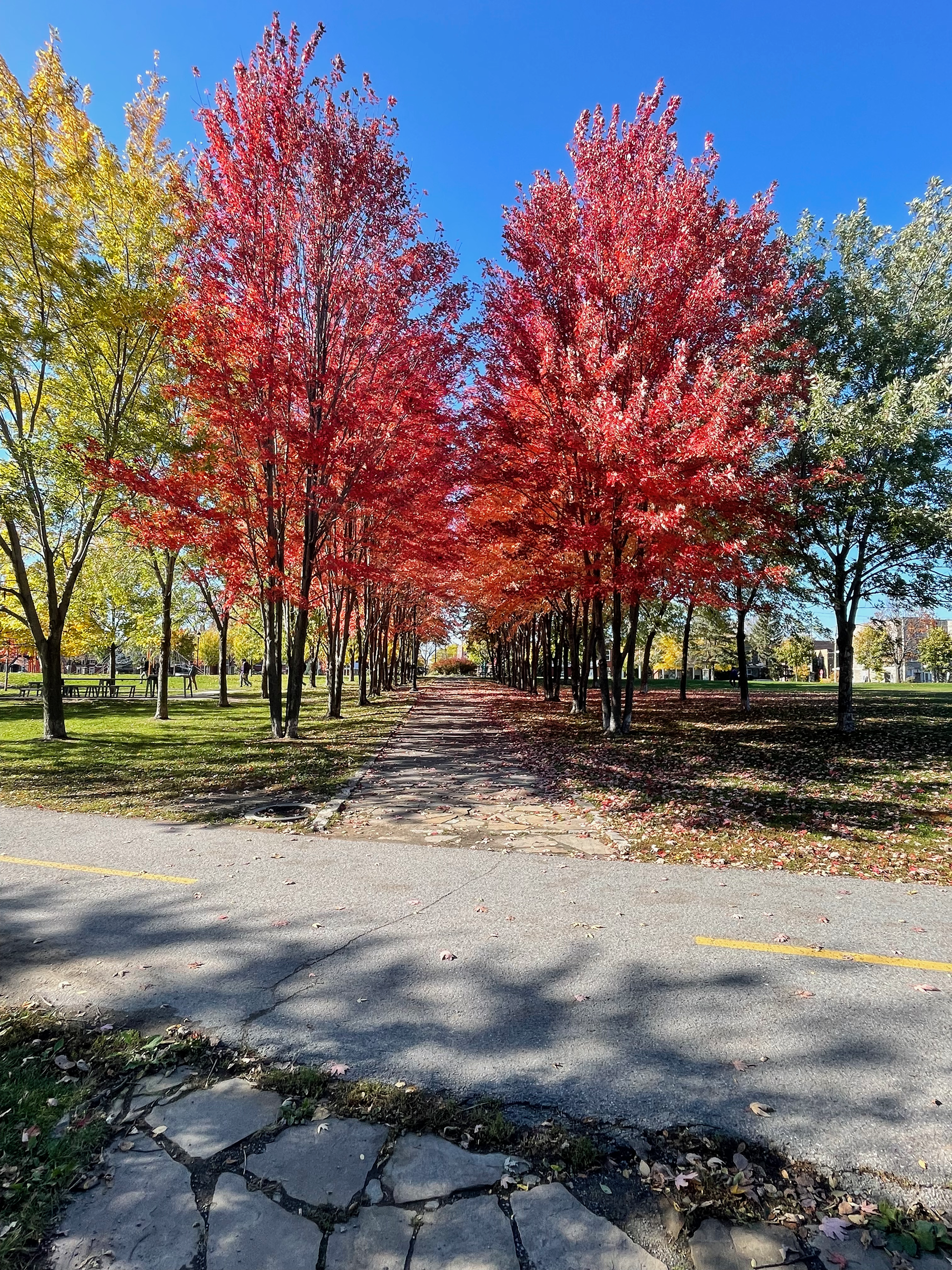 Montreal, Canada
