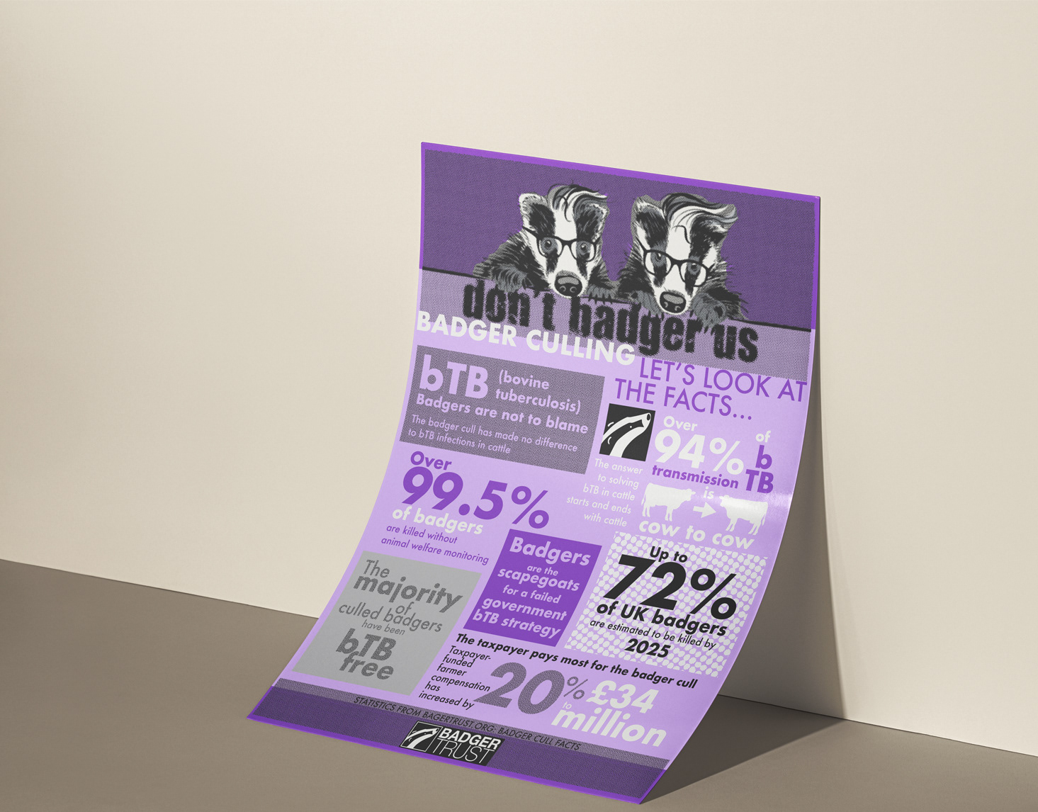 Badger cull infographic poster