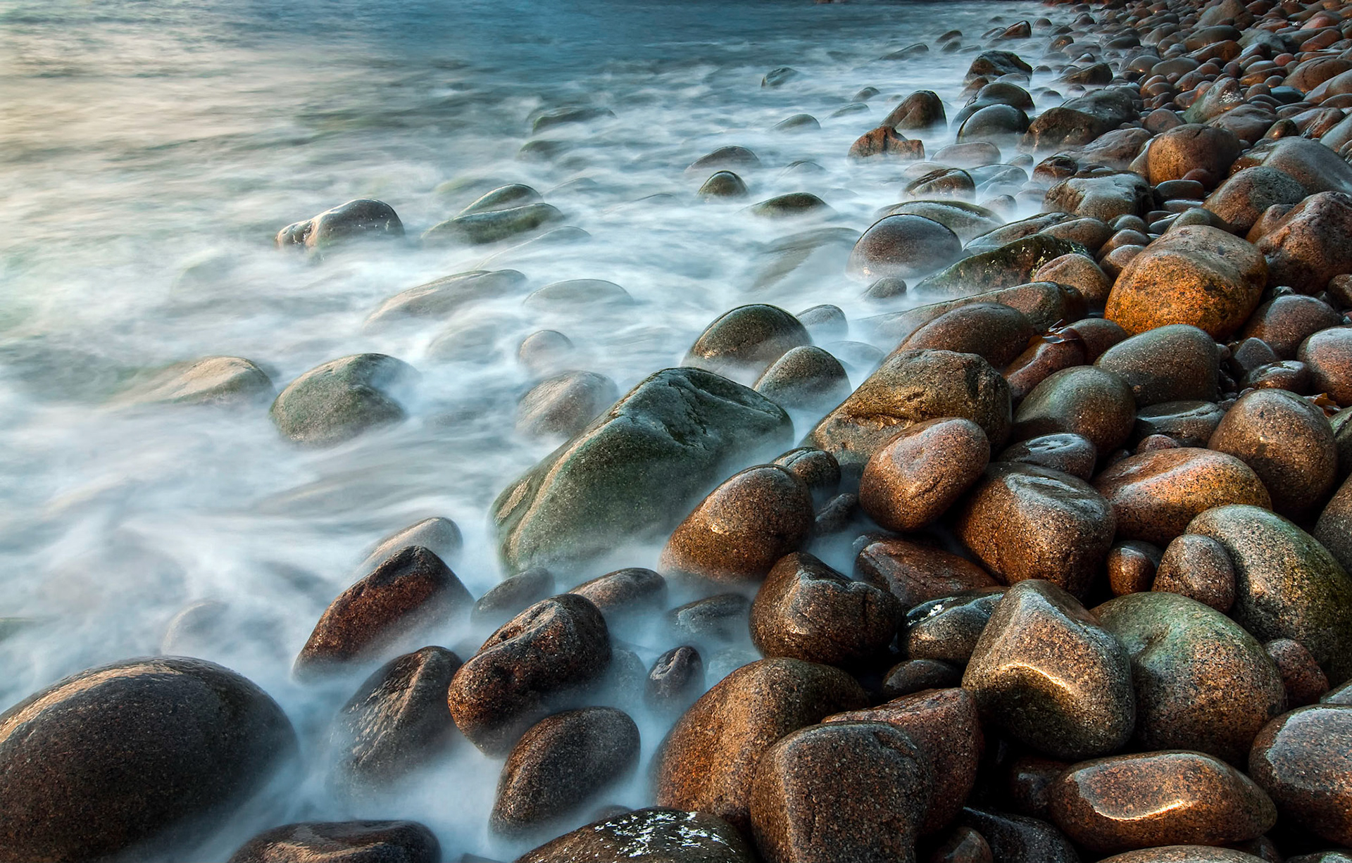 4th place Color prints ACC