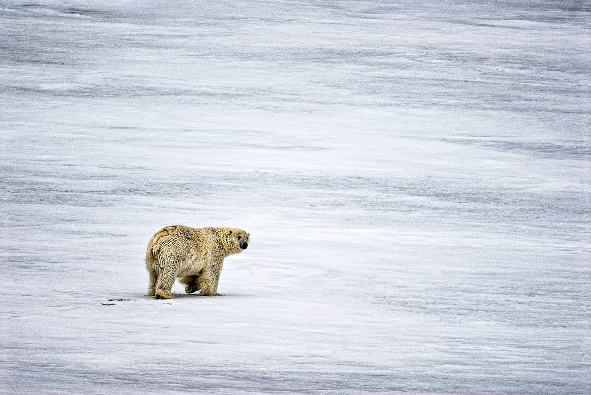 HM color prints 12/12/12 ACC