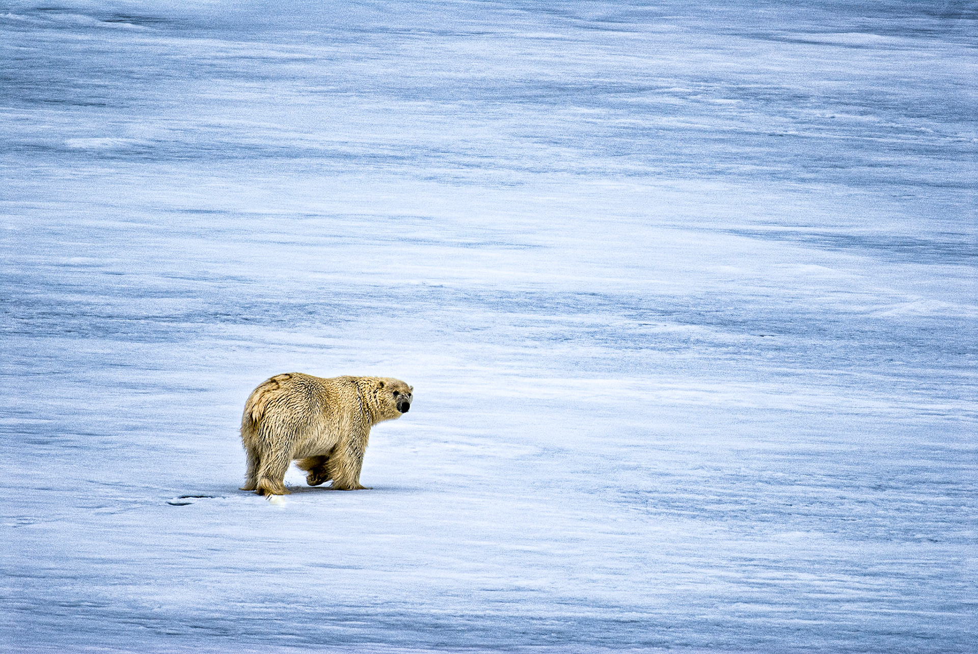 HM color prints 12/12/12 ACC