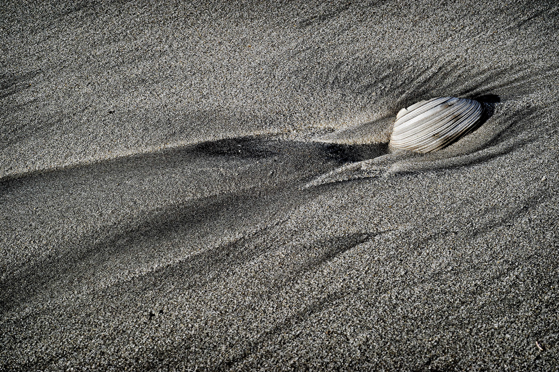 1st place B&amp;W prints