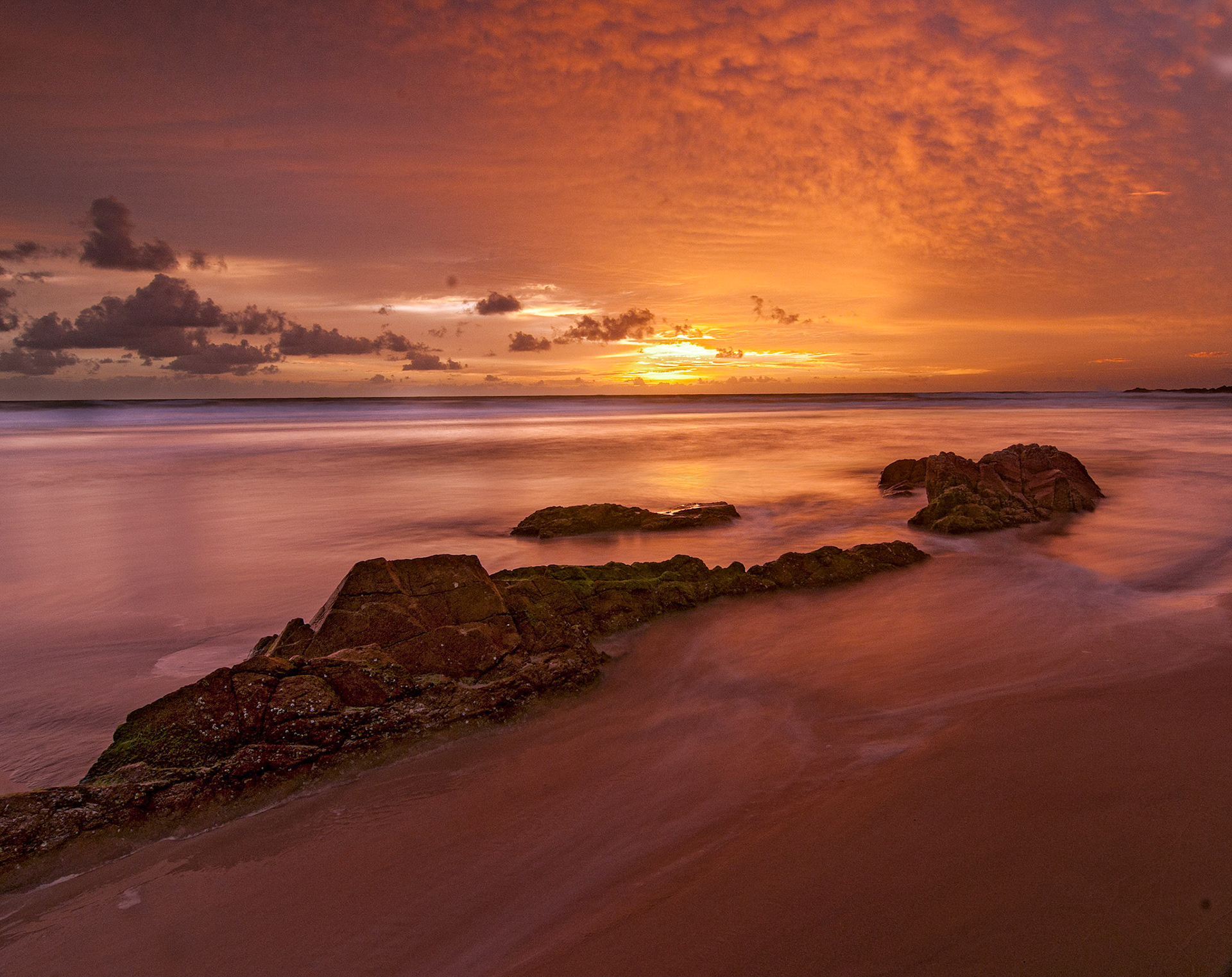 2nd placeACC digital