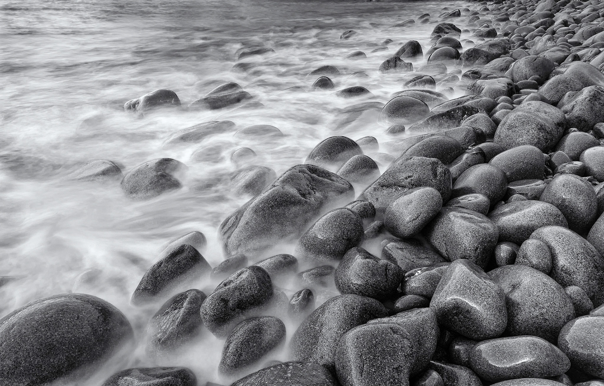 4th place Color prints ACC