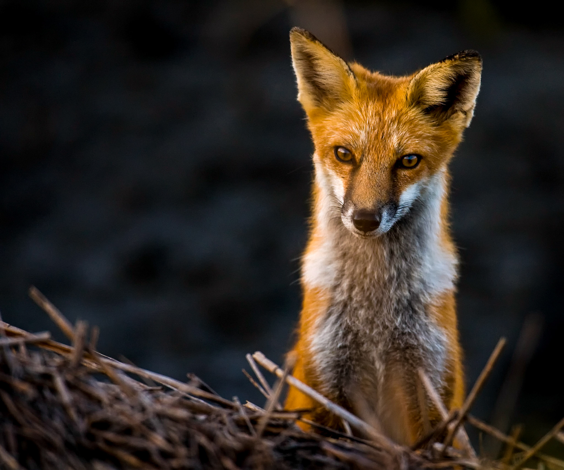 HM as B&amp;W print AAC