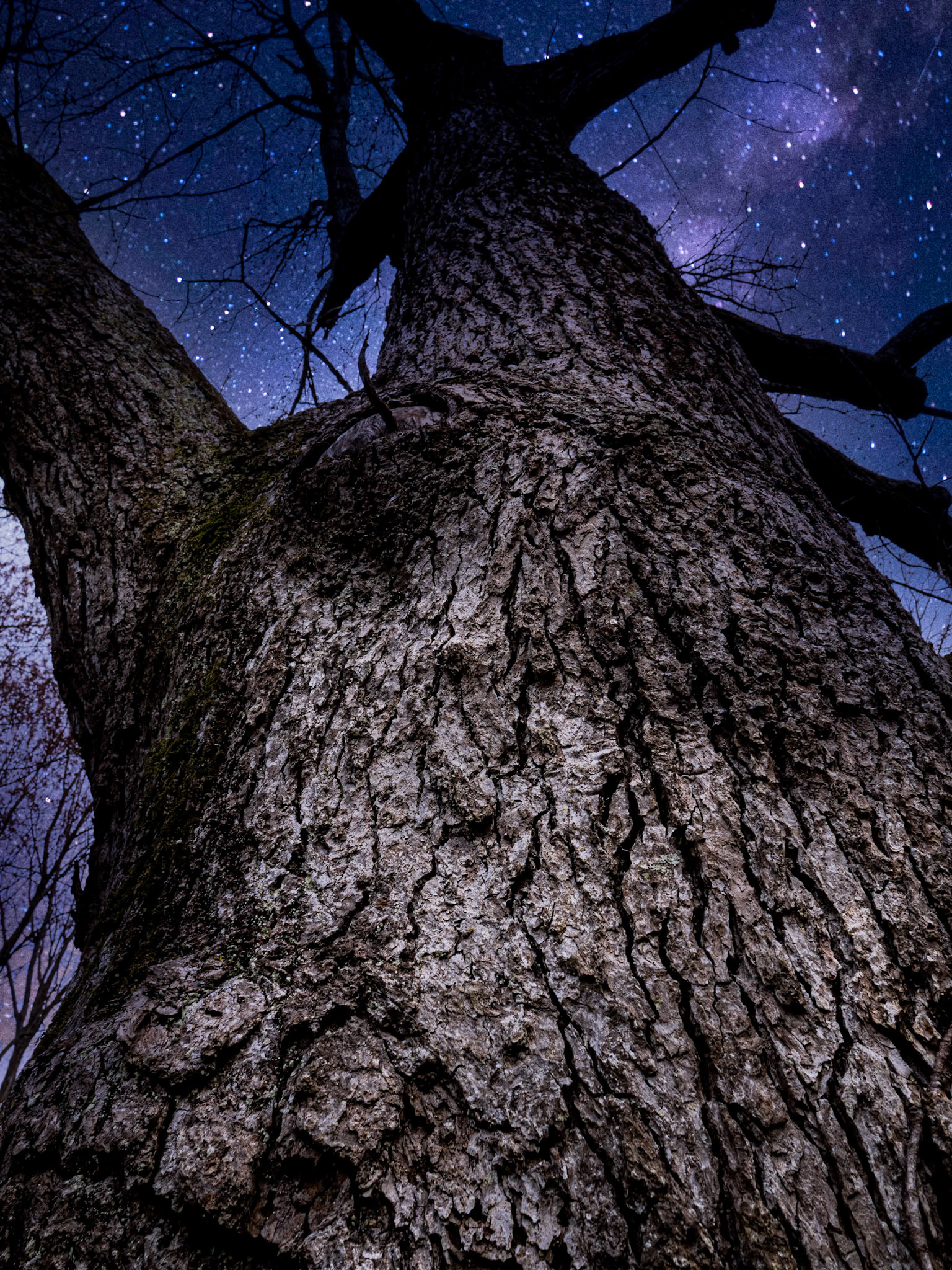 Look Up !