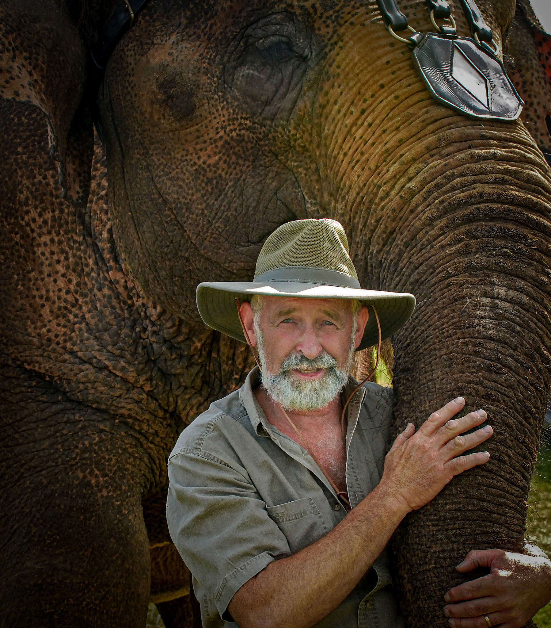  2nd place color print-Elephant trainer EOY 2nd place print, Honorable mention digital