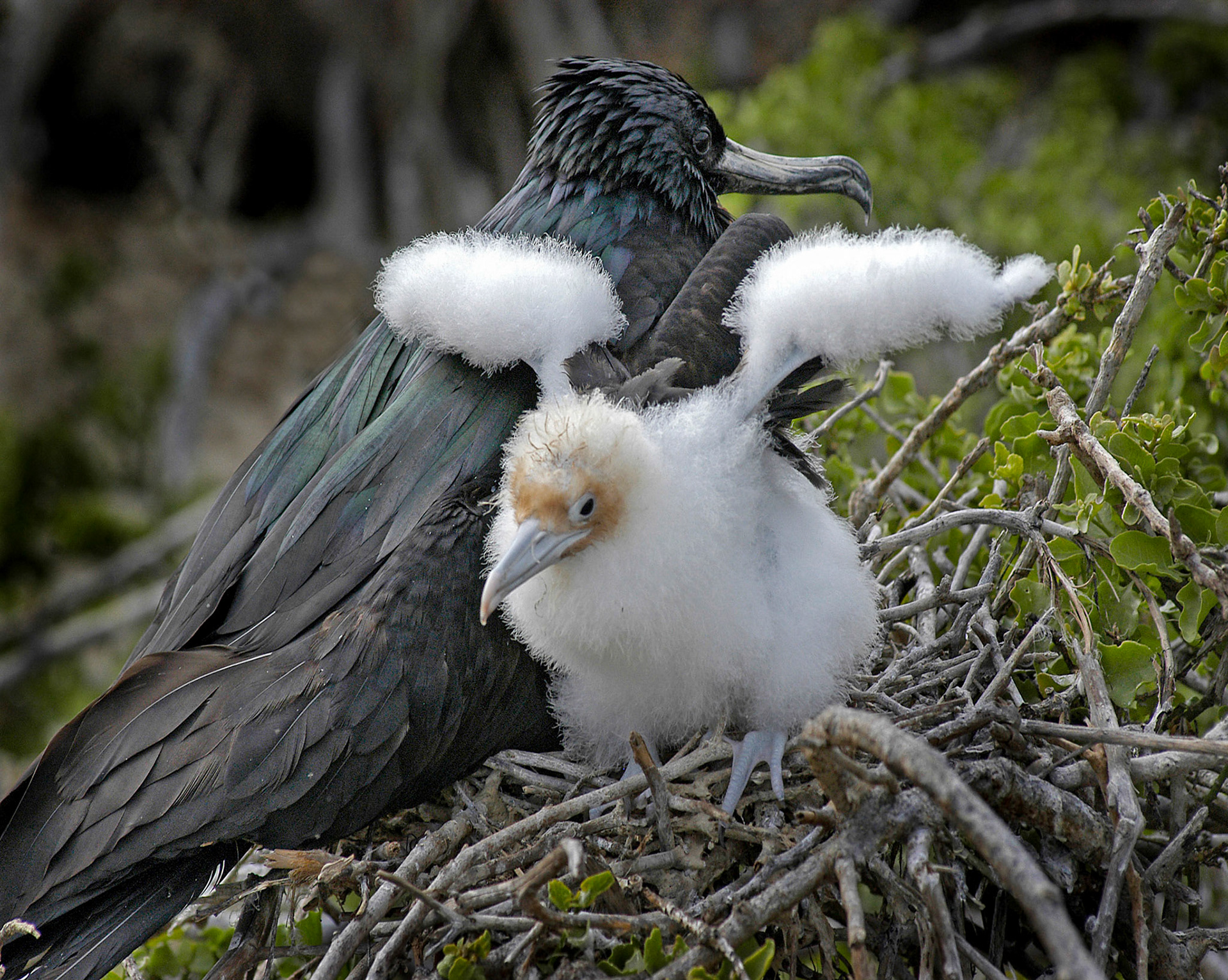 first place digital, H Mention EOY