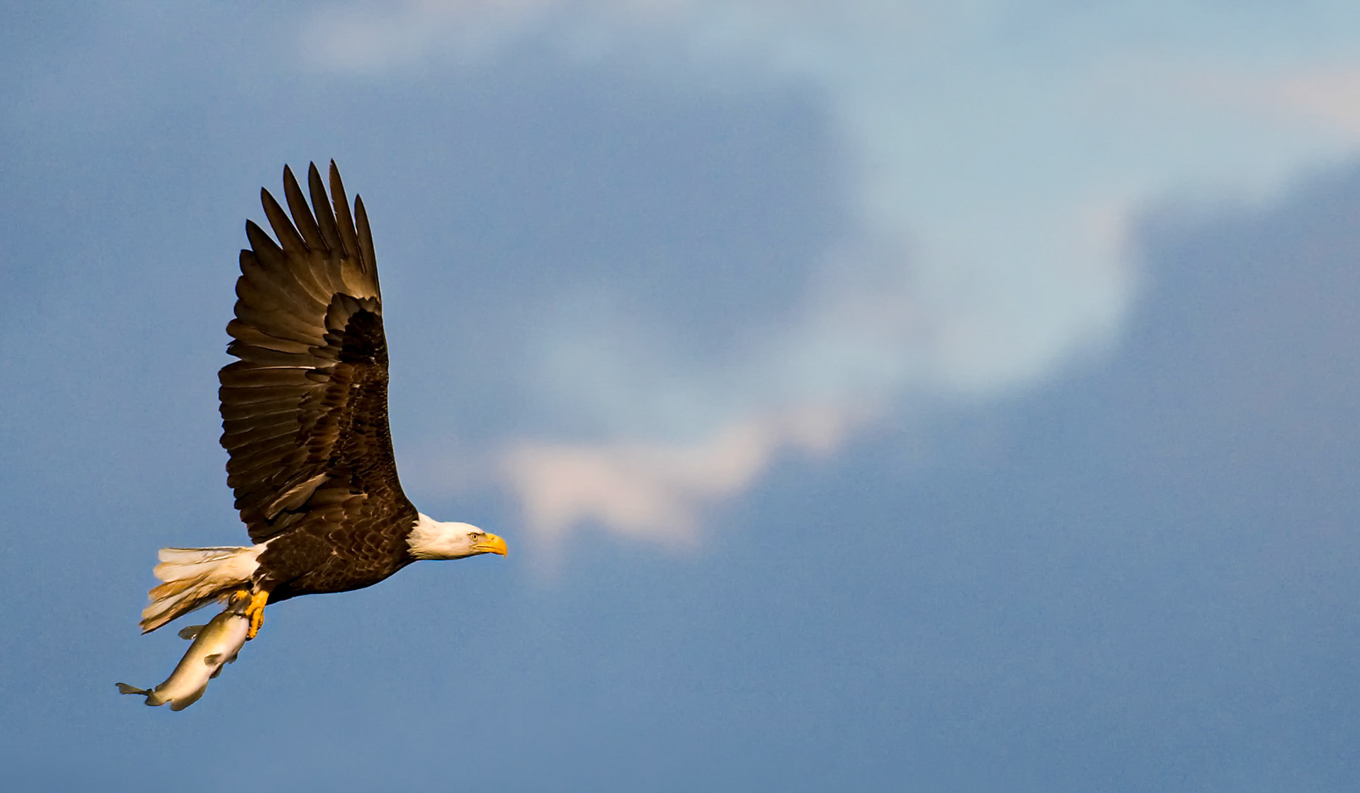 2nd place digital -09