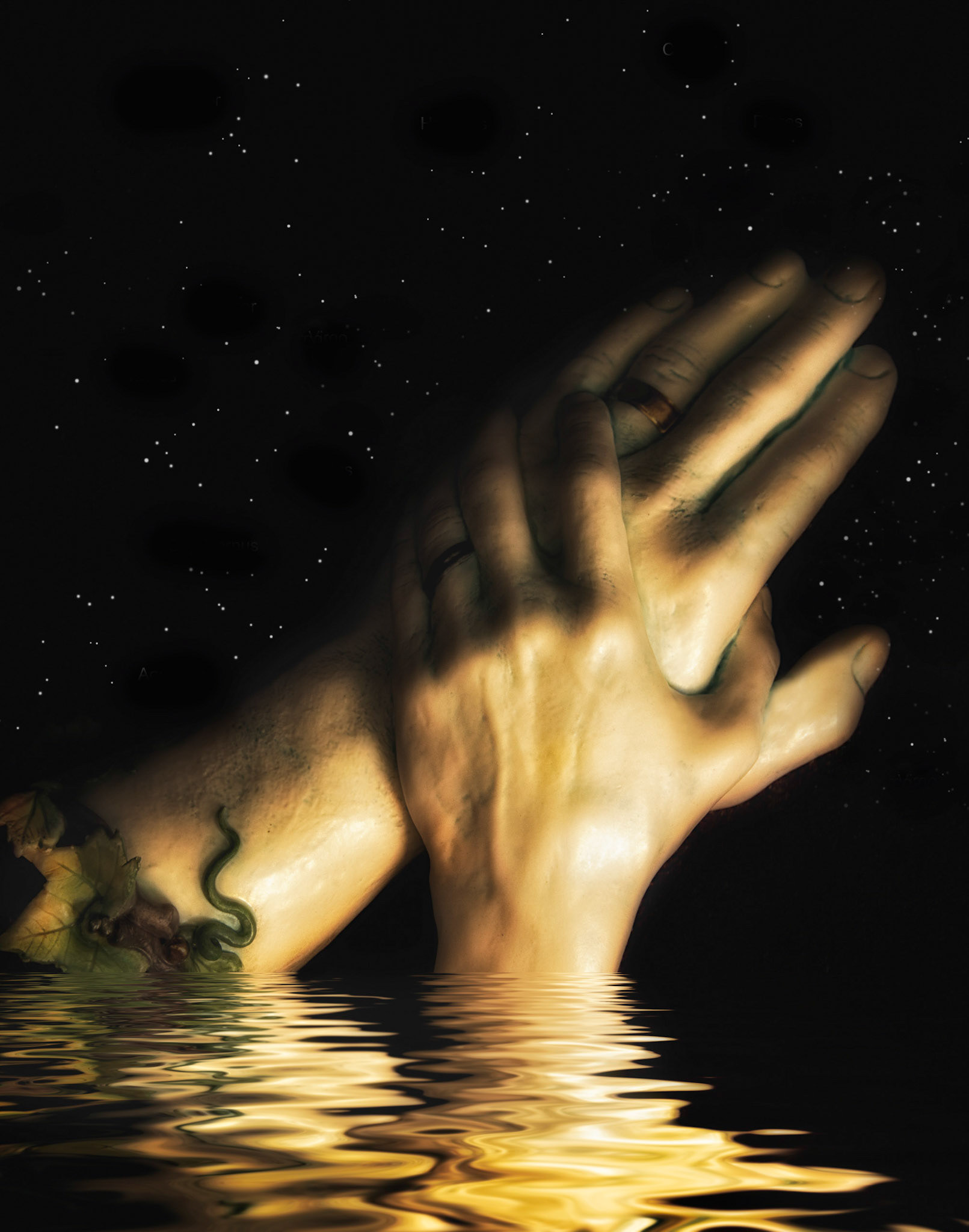 HM digital 3/13/13