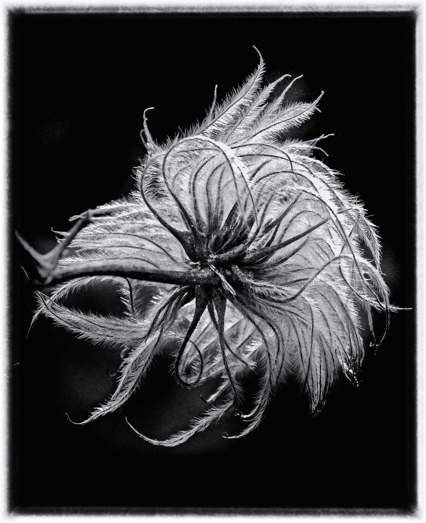 1st place AAC prints, 3rd place EOY prints