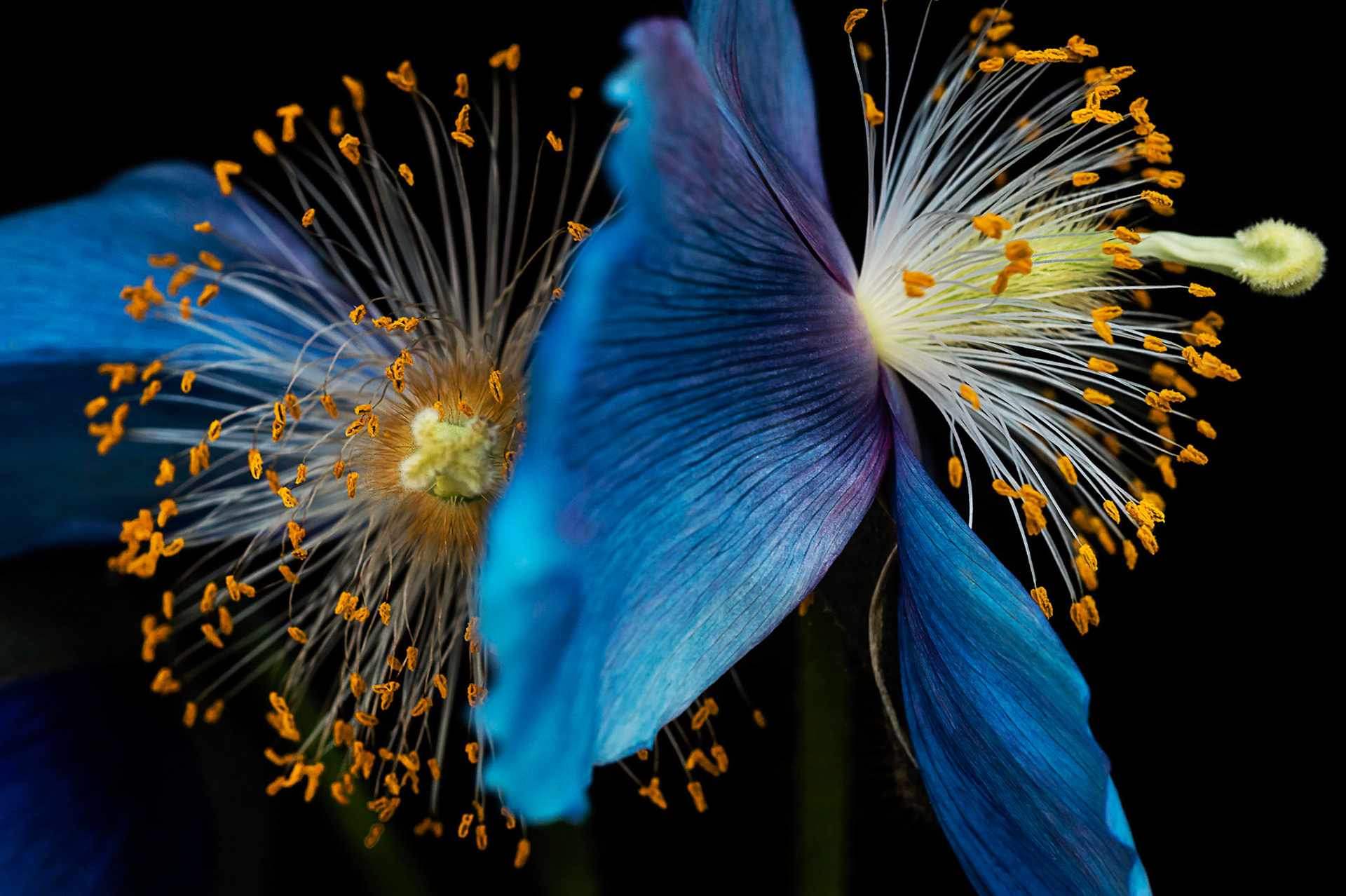 3rd place TCC 4/18/16