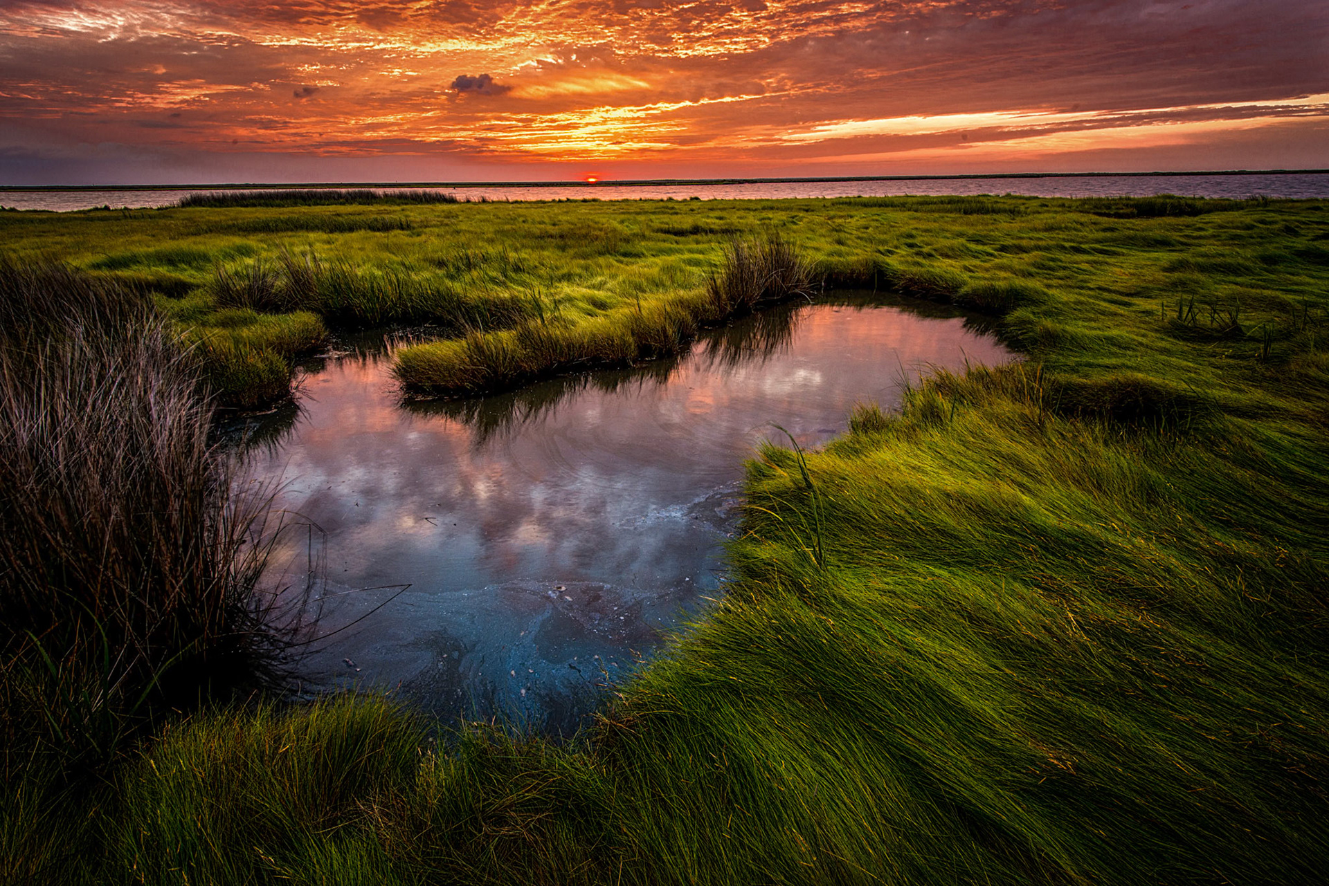 1st place color prints 9/25/13 ACC