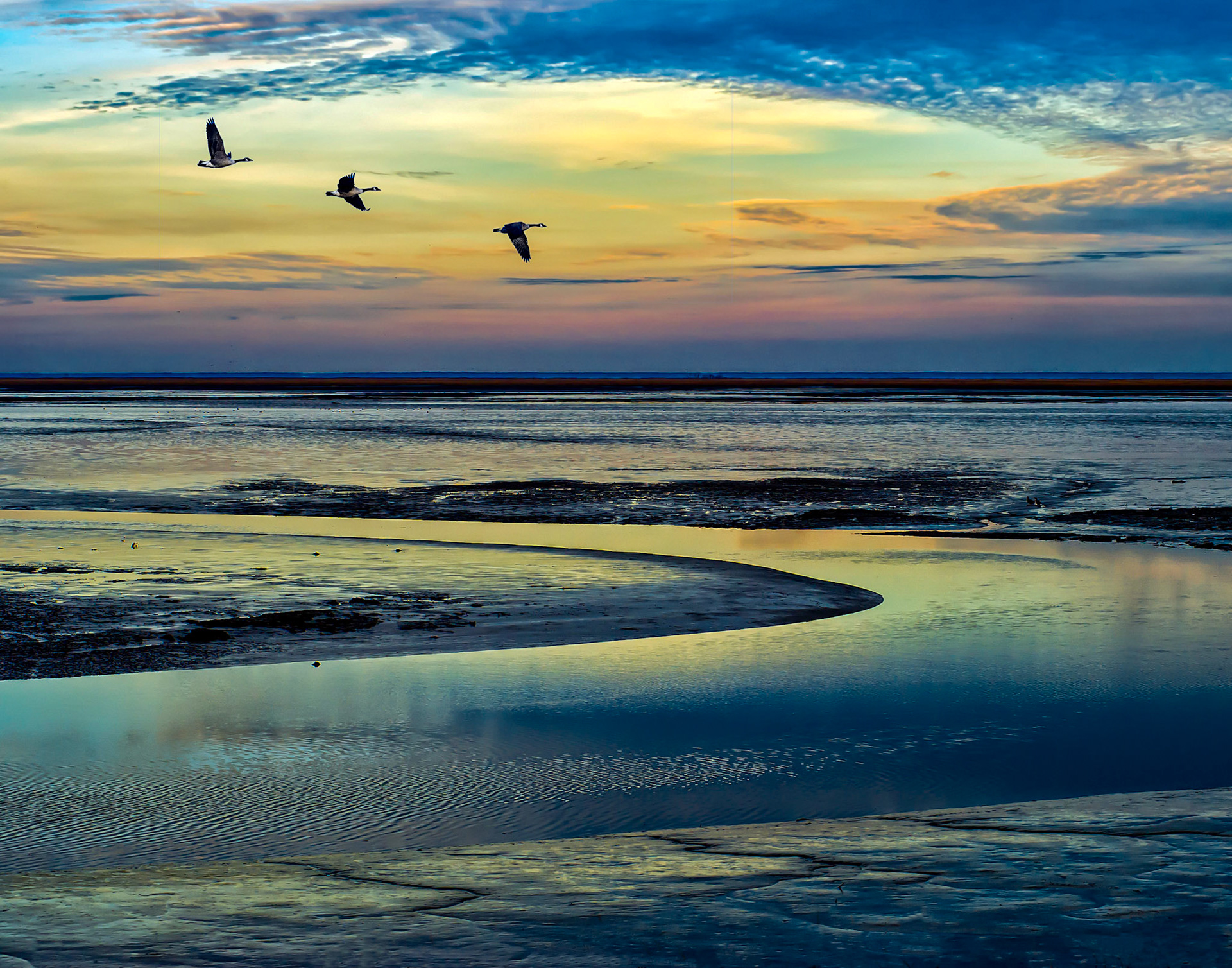 HM color prints 1/26/12