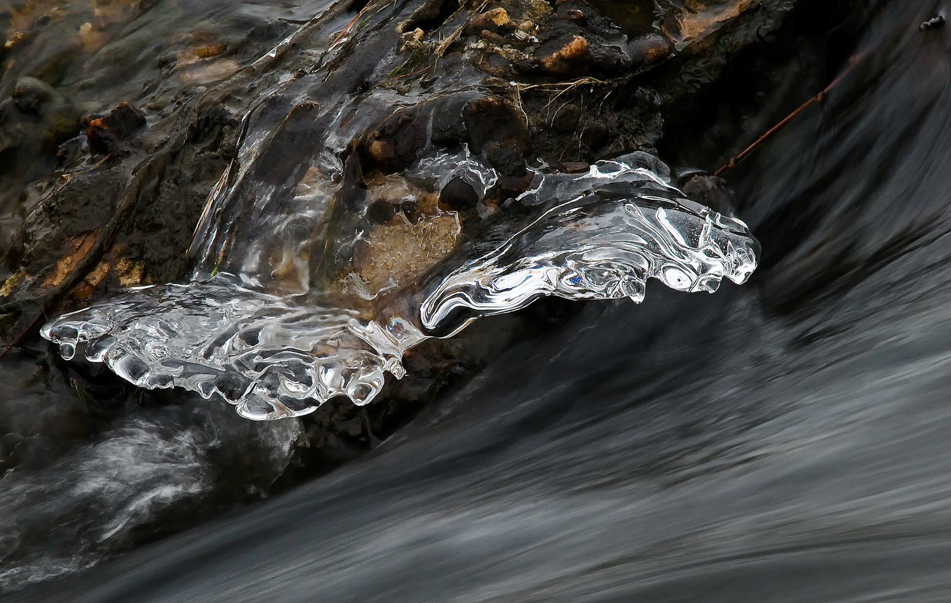 3rd place digital ACC 3/10, alos published in B&amp;W and Color magazine as a B&amp;W and also a color rendition- 2012- april issue 90