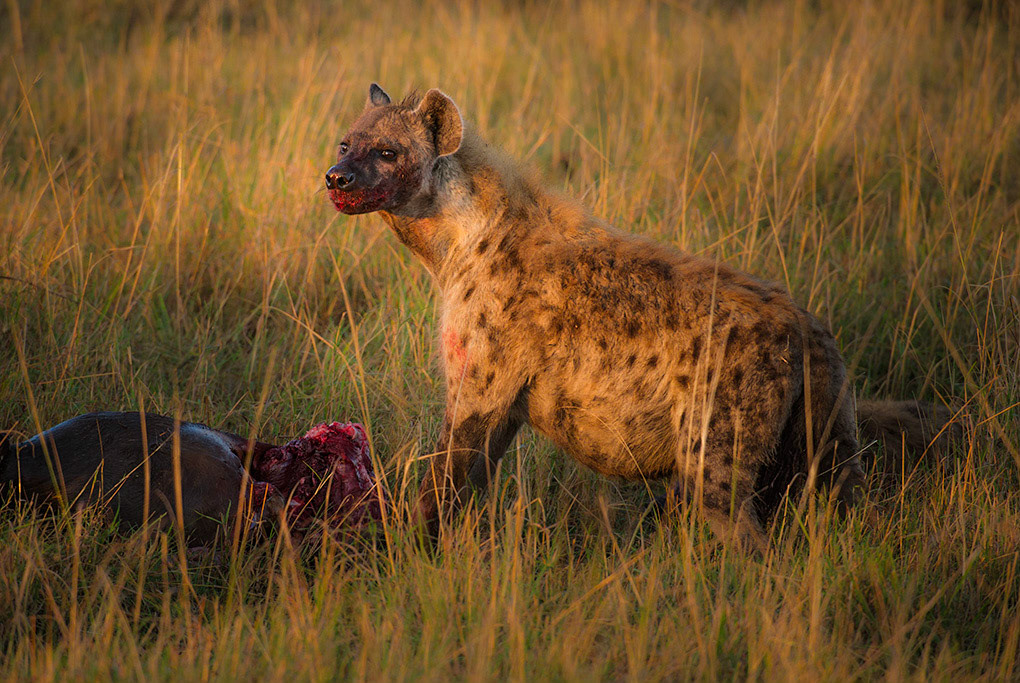 2nd place digital Tidewater club 3/17/2015