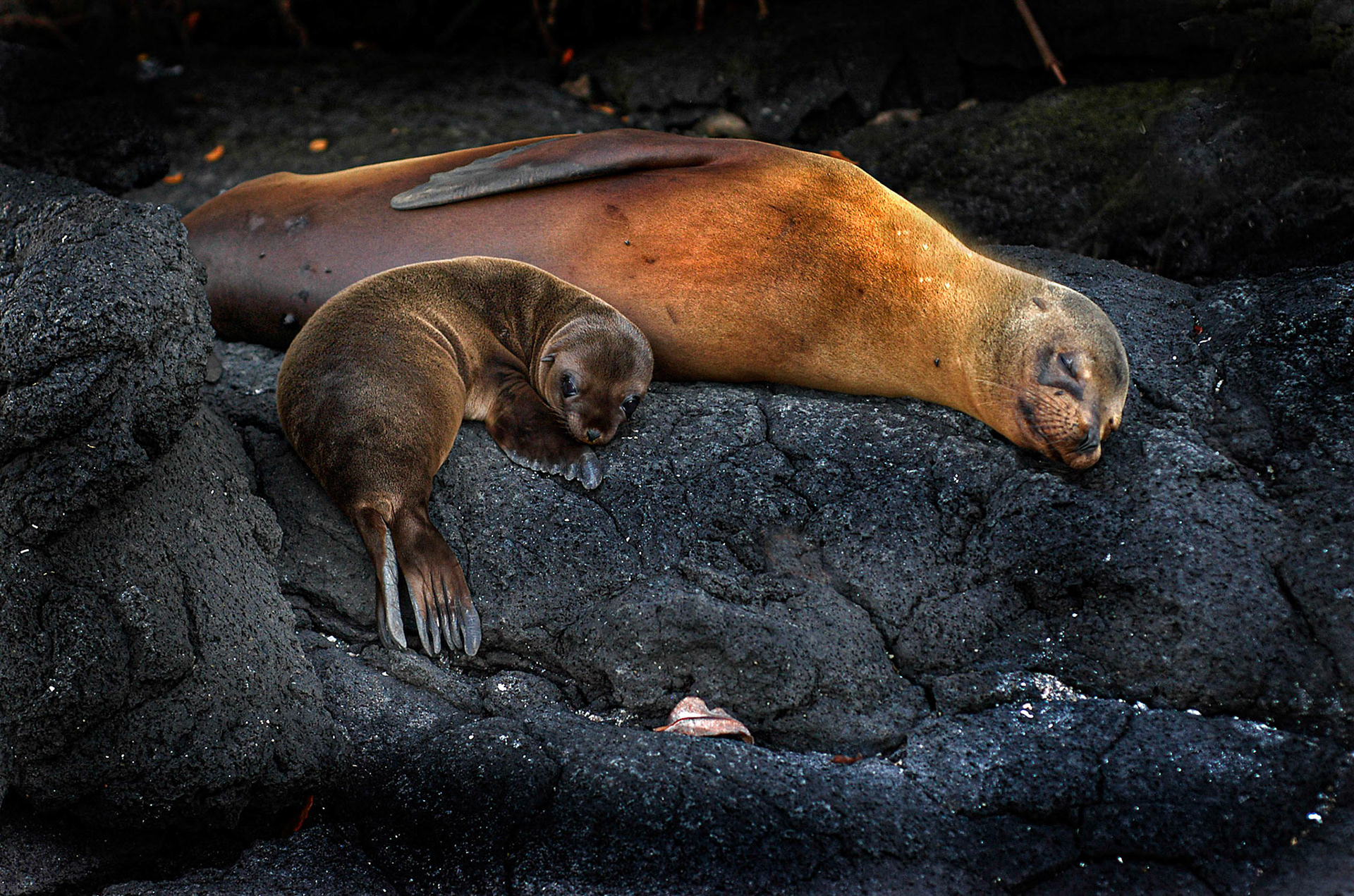 3rd place color prints, 3rd place EOY prints