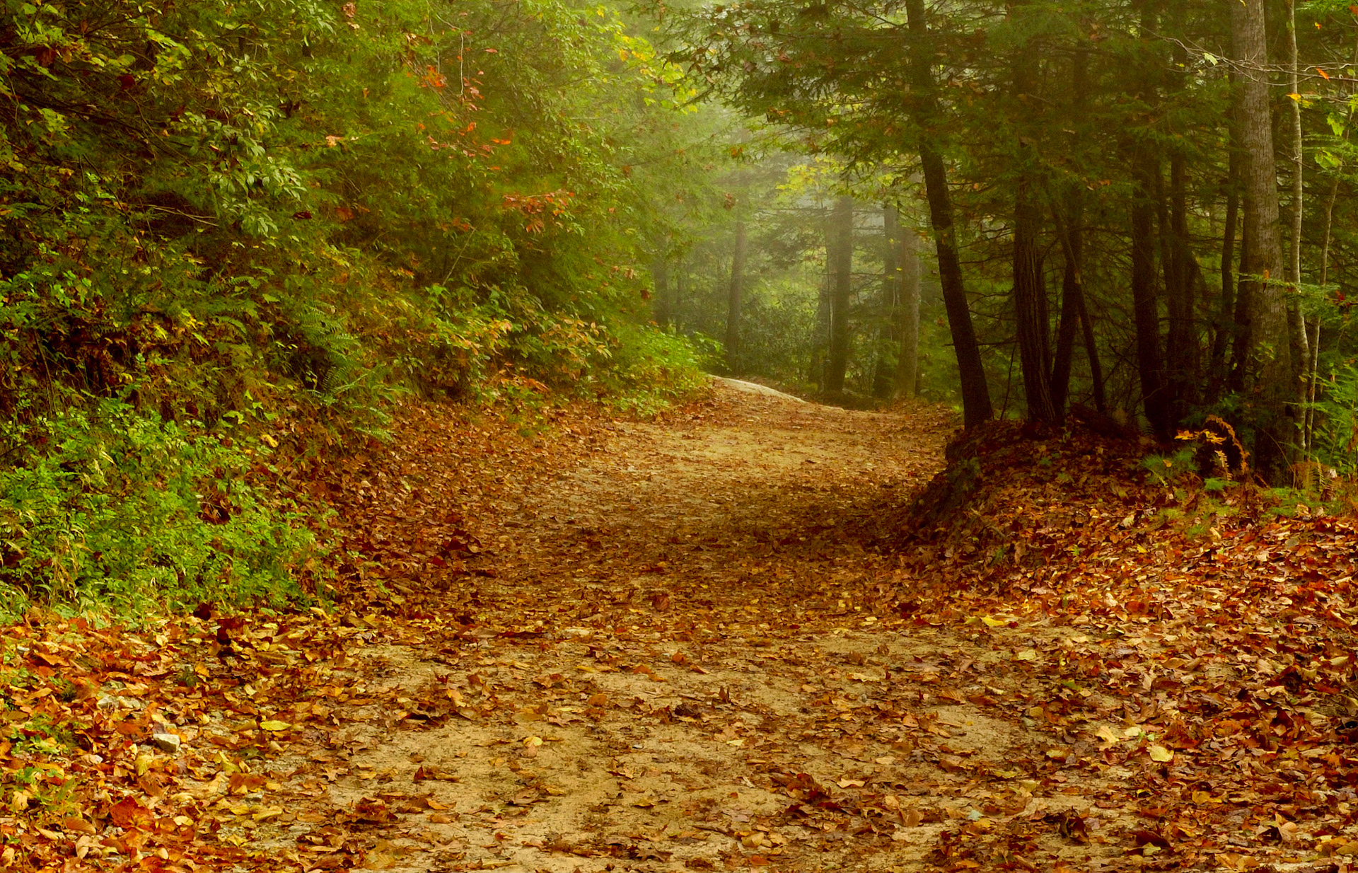 2nd place Color prints ACC 4/24/13