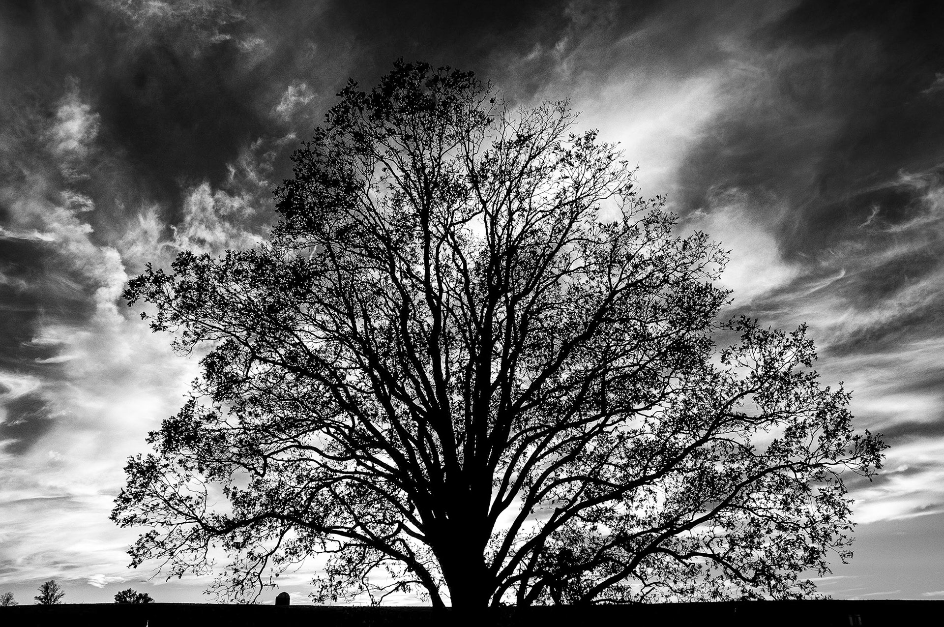 2nd place B&amp;W prints 12/11/13