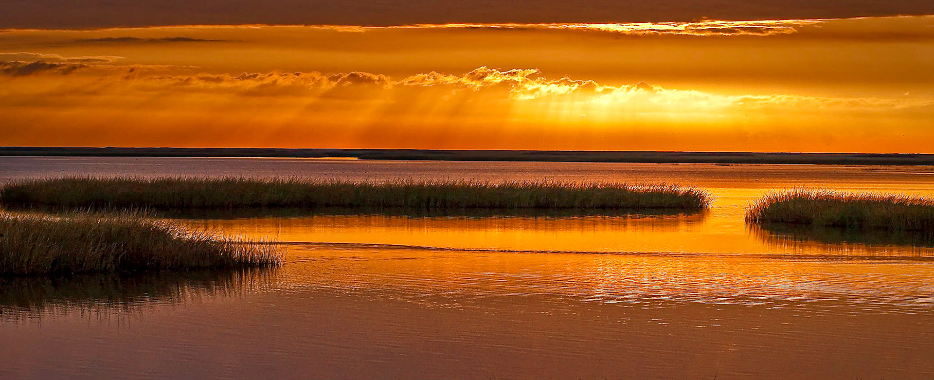 4th place digital ACC