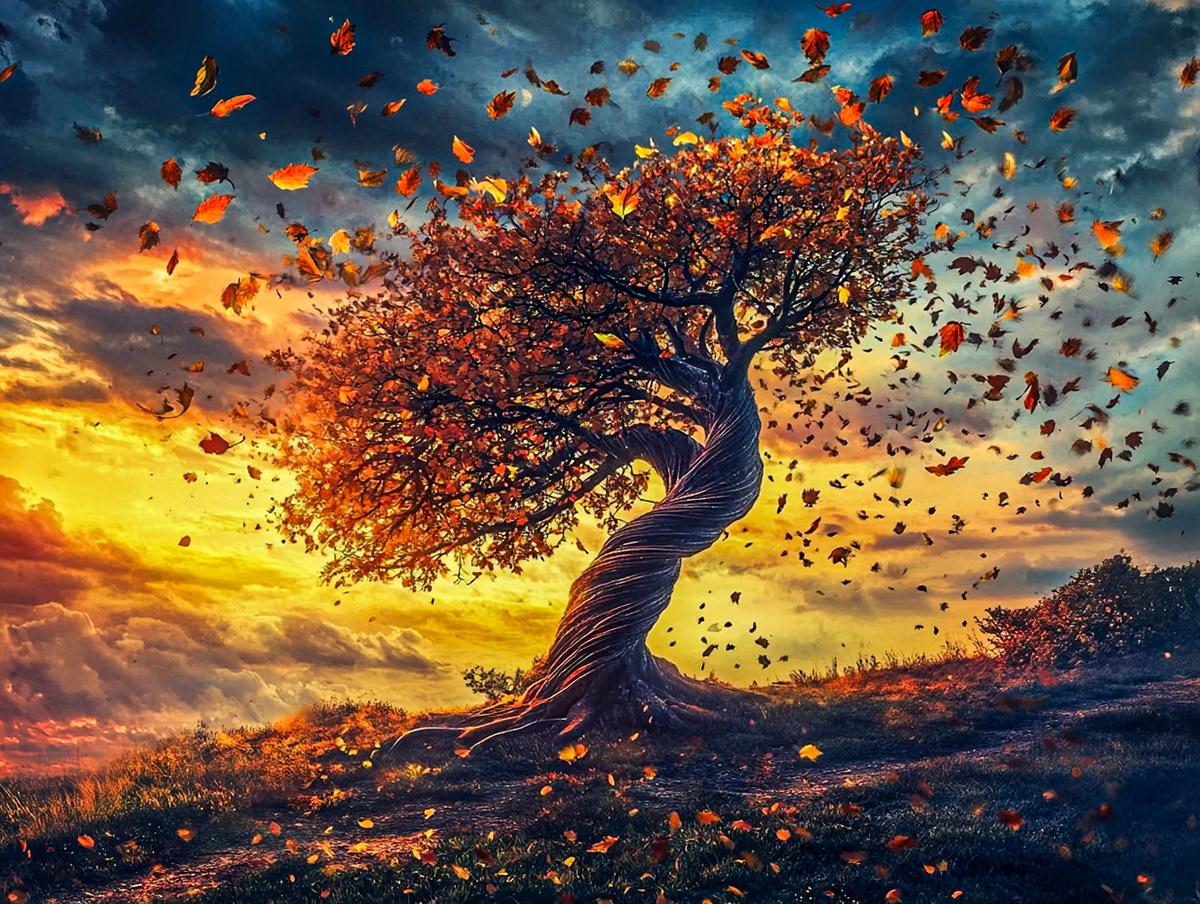 A beautiful tree of life with its golden leaves falling upward in a spiraling tornado and moving toward an autumn sunset in a photo realistic style --ar 4:3 --v 6.1 Job ID: 5683ff66-3a0f-493d-89ce-b7be3b673b9a