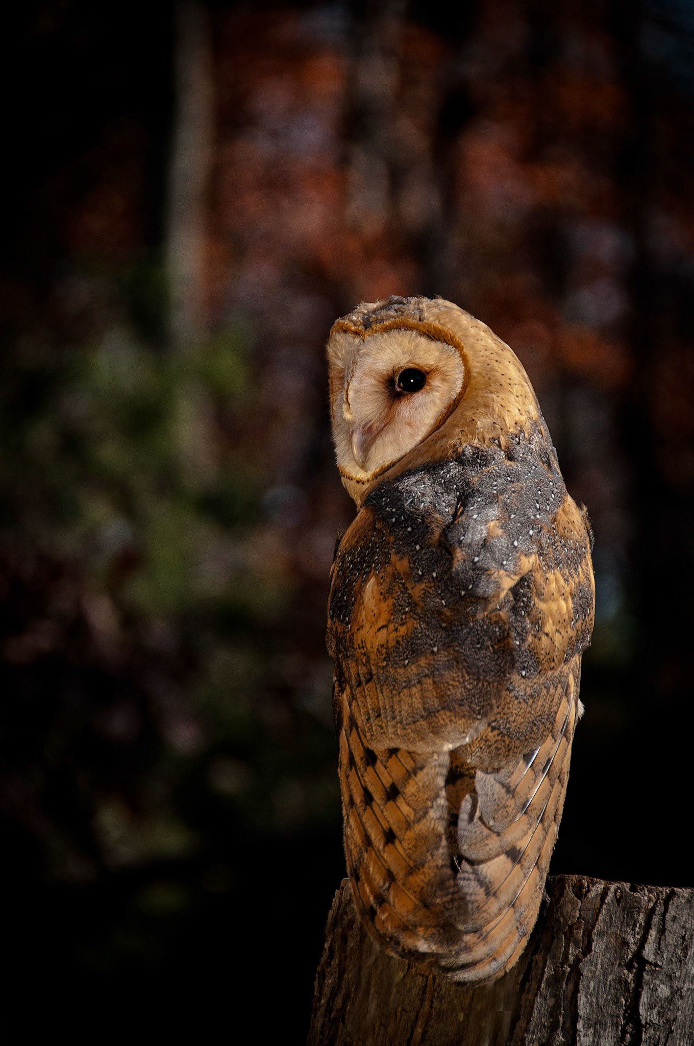 1st place B&amp;W prints 12/12/12 ACC