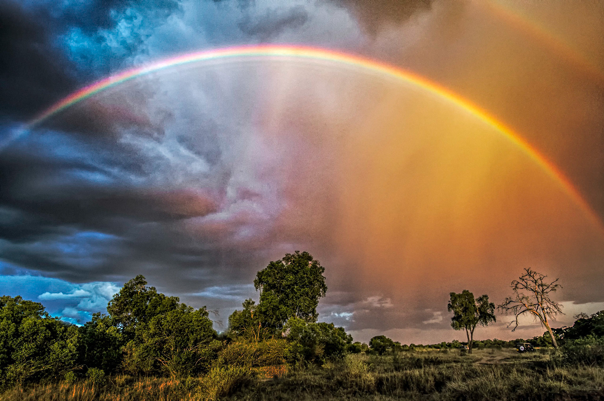 HM color prints 12/11/13